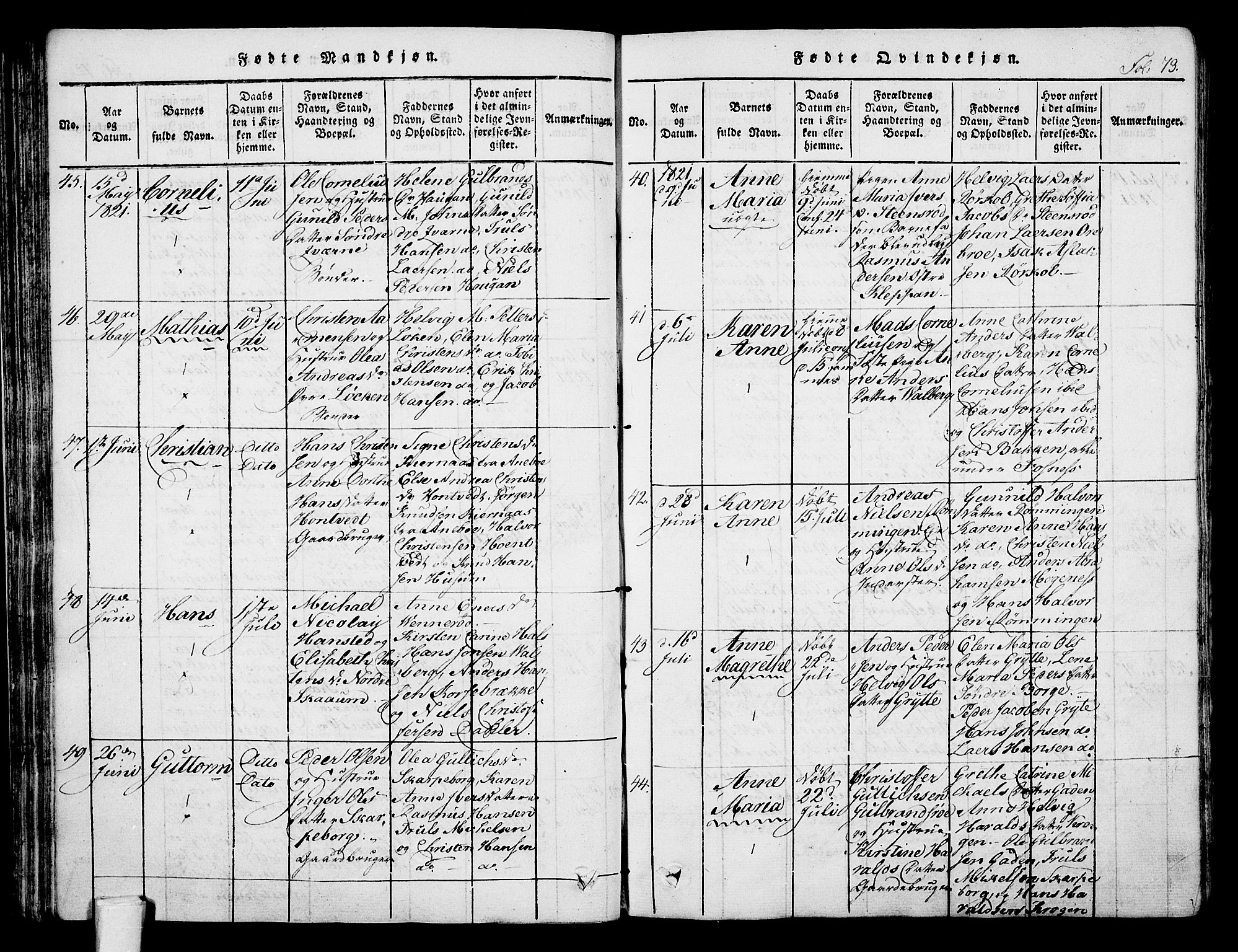 Stokke kirkebøker, AV/SAKO-A-320/F/Fa/L0005: Ministerialbok nr. I 5, 1815-1826, s. 73