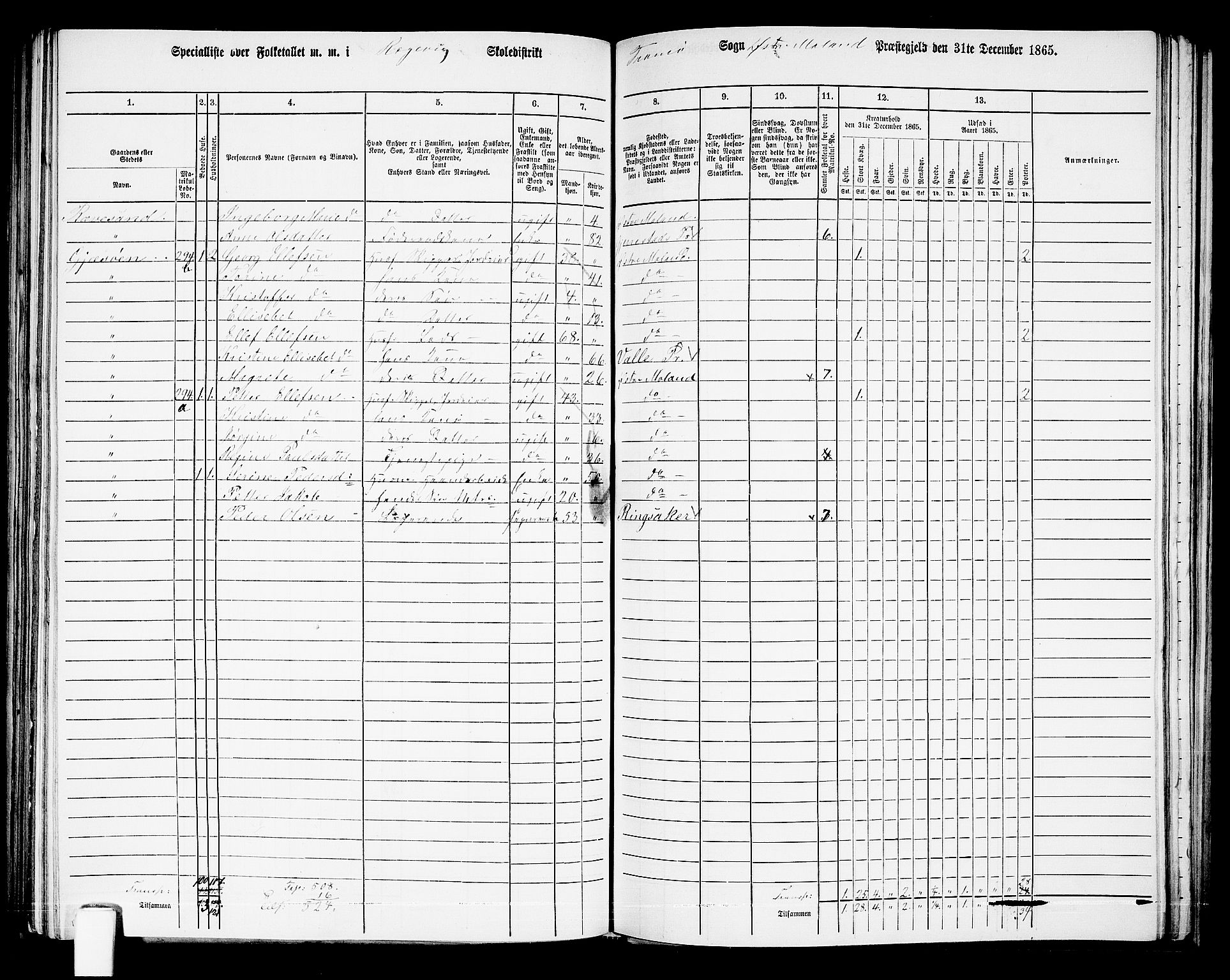 RA, Folketelling 1865 for 0918P Austre Moland prestegjeld, 1865, s. 249