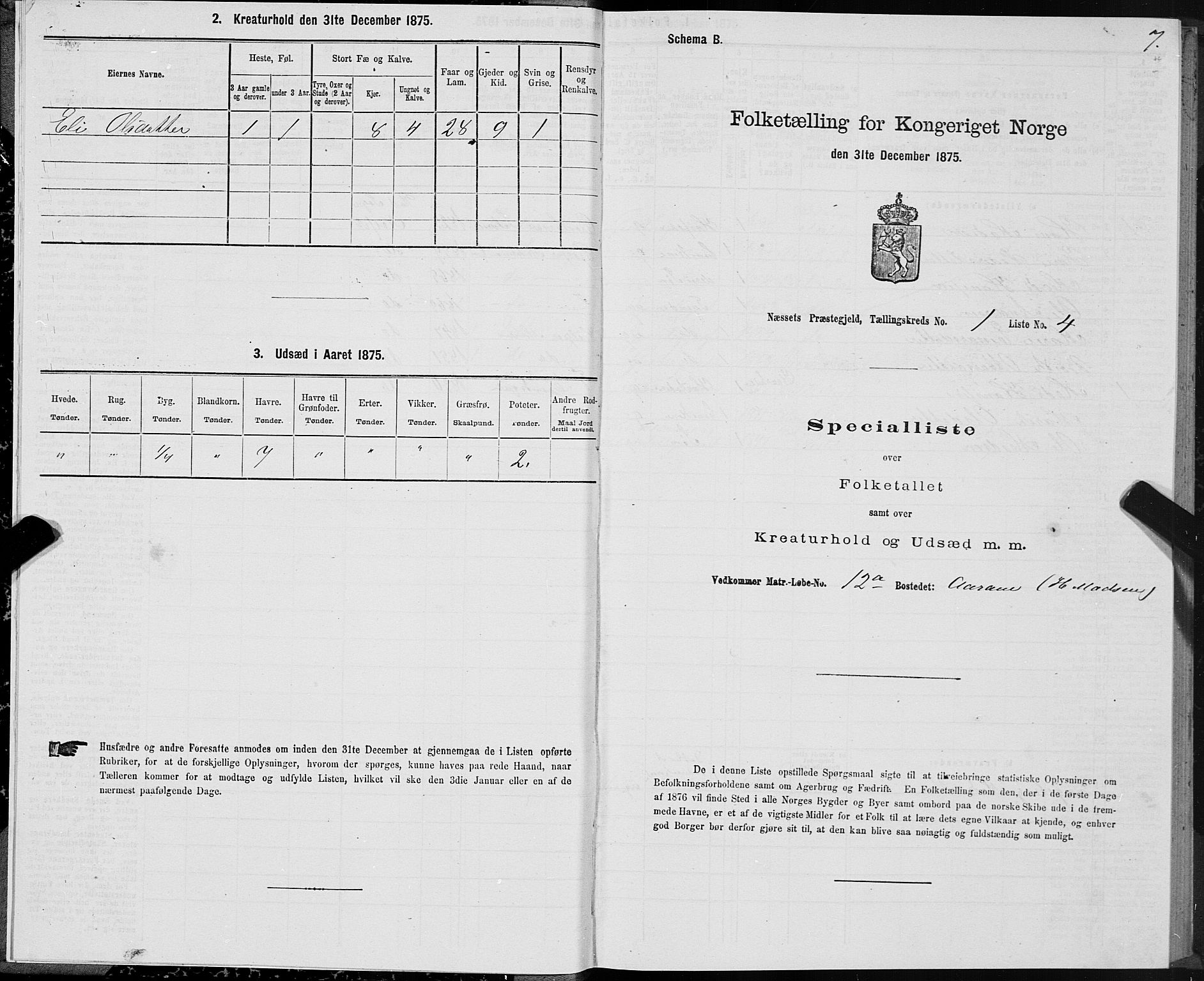 SAT, Folketelling 1875 for 1543P Nesset prestegjeld, 1875, s. 1007