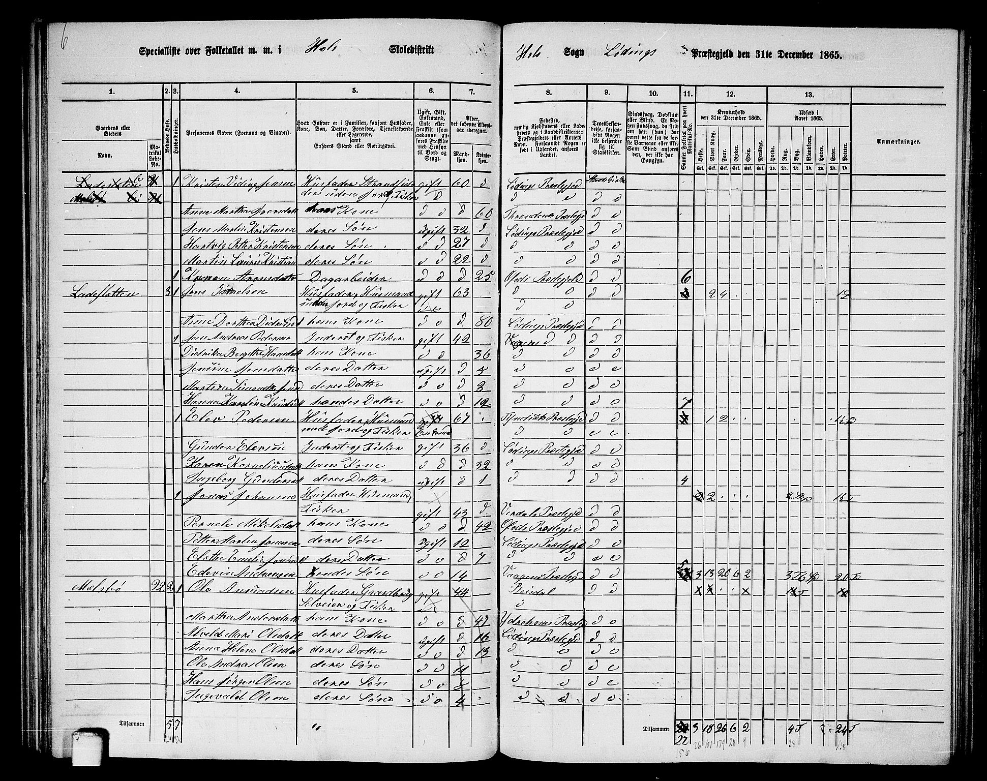 RA, Folketelling 1865 for 1851P Lødingen prestegjeld, 1865, s. 73