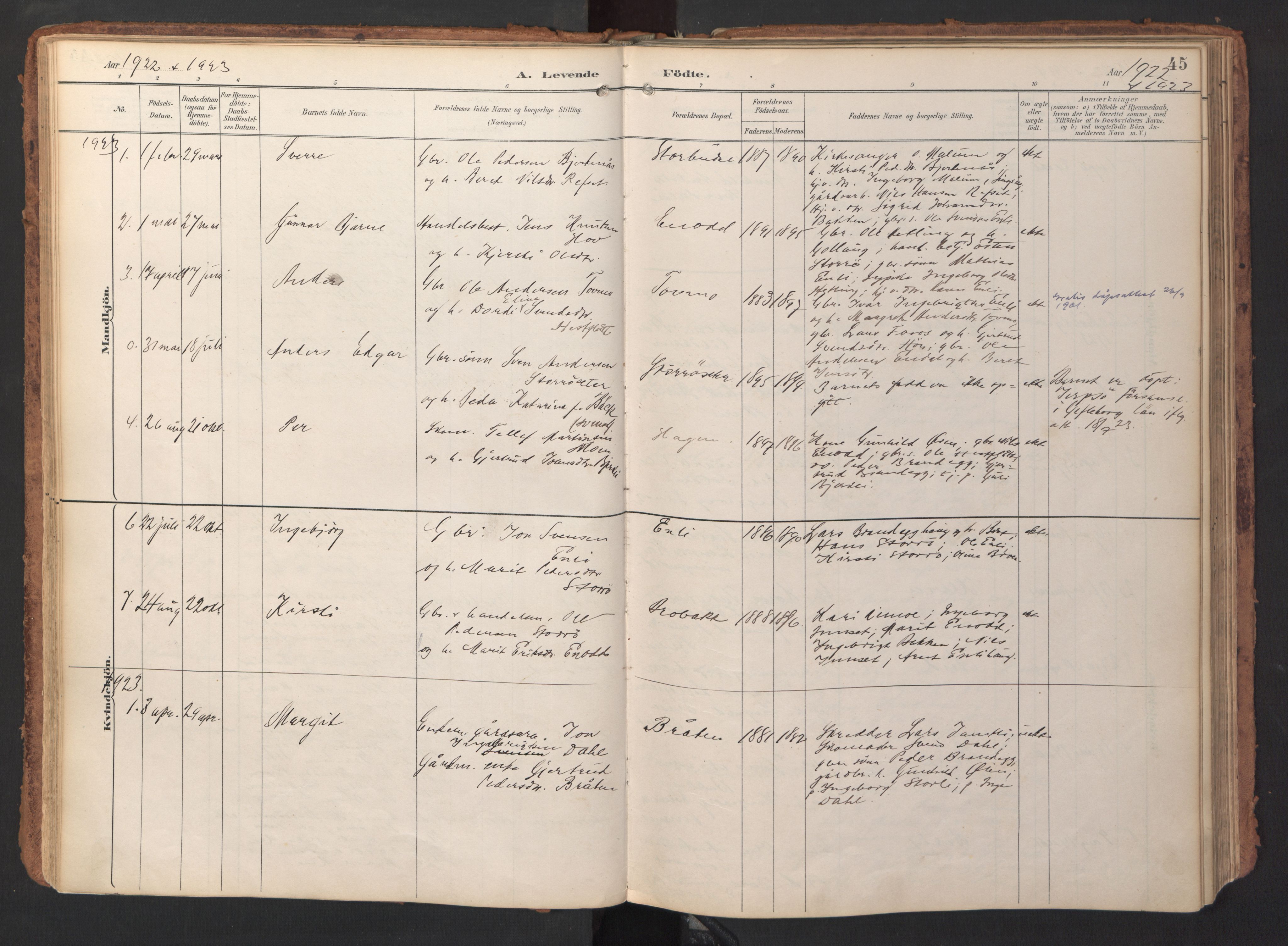 Ministerialprotokoller, klokkerbøker og fødselsregistre - Sør-Trøndelag, SAT/A-1456/690/L1050: Ministerialbok nr. 690A01, 1889-1929, s. 45