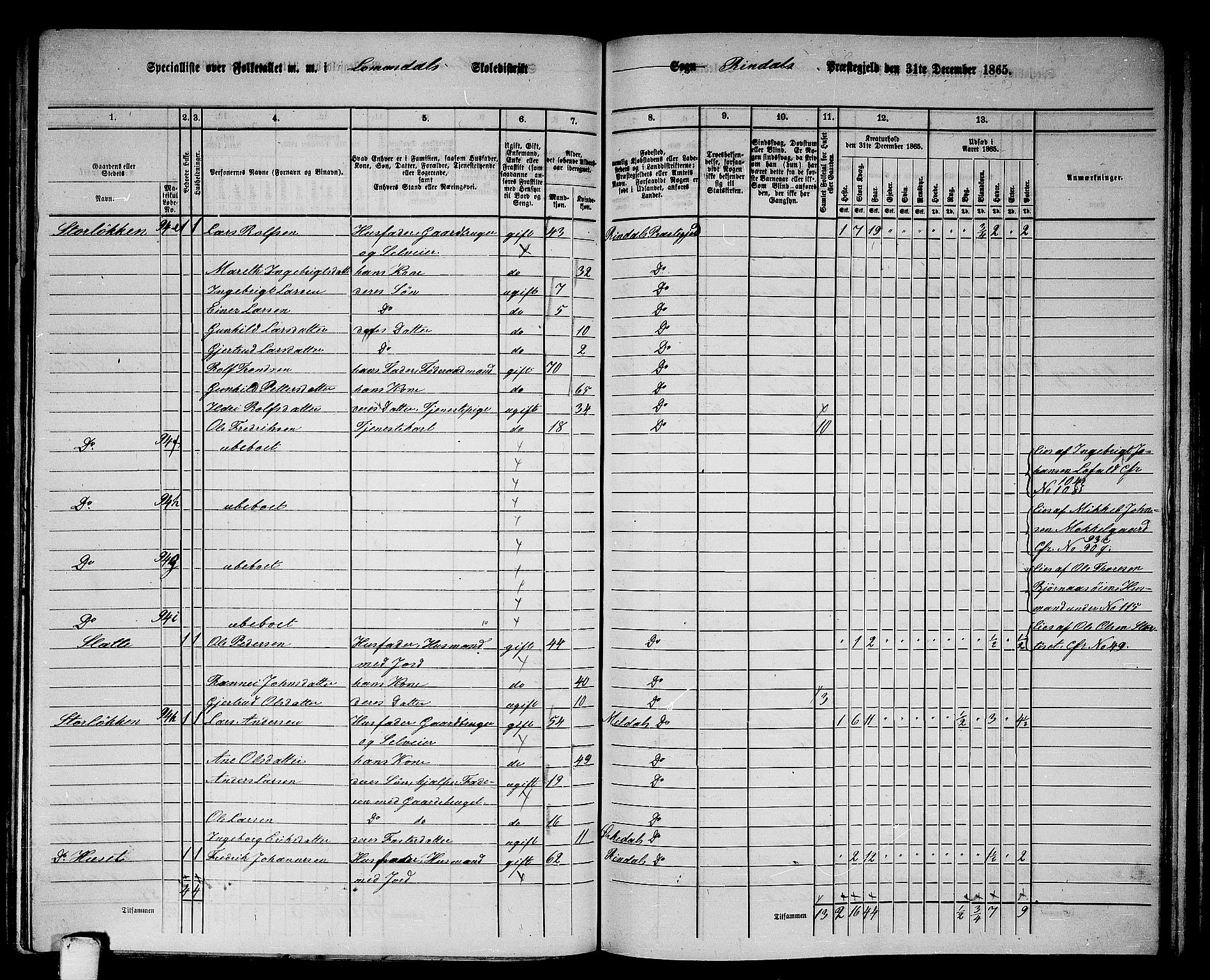 RA, Folketelling 1865 for 1567P Rindal prestegjeld, 1865, s. 20