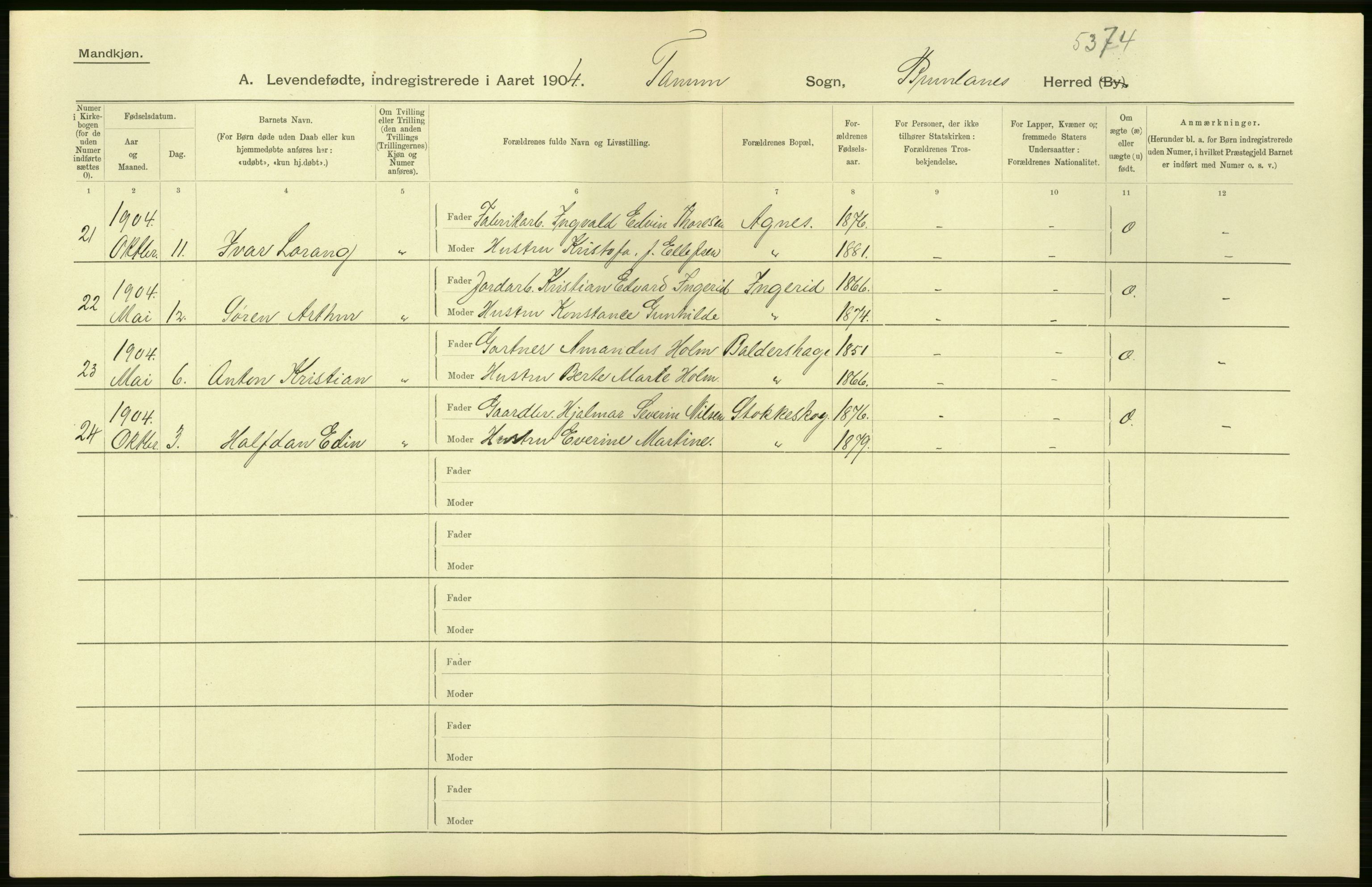 Statistisk sentralbyrå, Sosiodemografiske emner, Befolkning, AV/RA-S-2228/D/Df/Dfa/Dfab/L0008: Jarlsberg og Larvig amt: Fødte, gifte, døde, 1904, s. 30