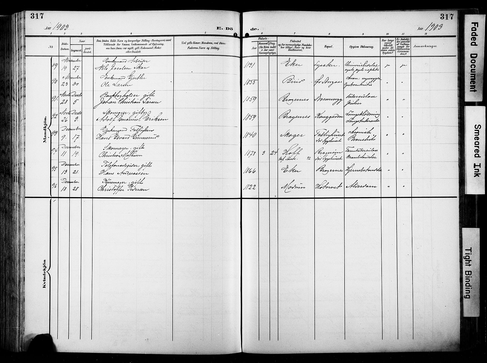 Bragernes kirkebøker, AV/SAKO-A-6/F/Fb/L0009: Ministerialbok nr. II 9, 1902-1911, s. 317