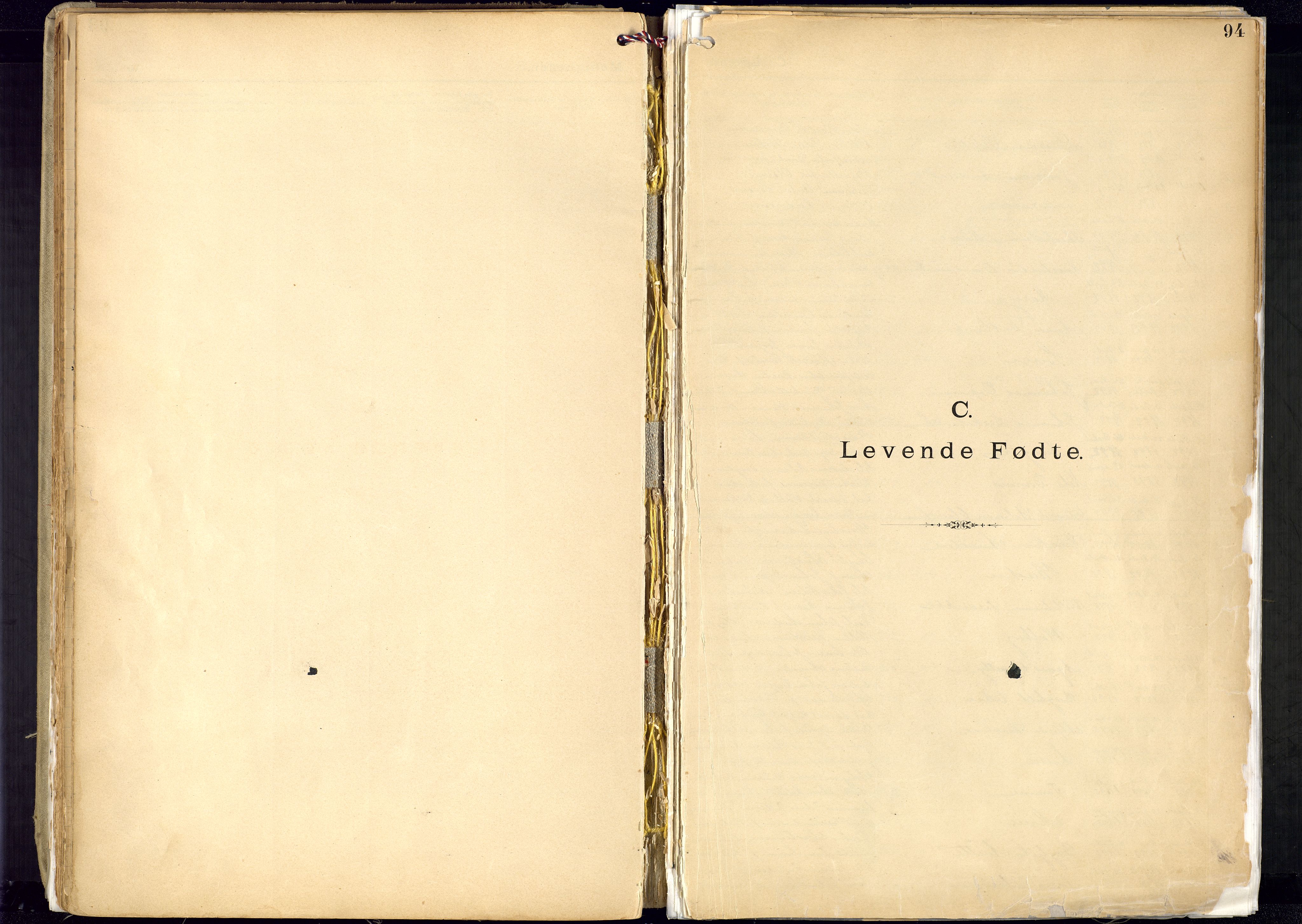 Metodistmenigheten, Arendal, AV/SAK-1292-0011/F/Fa/L0005: Dissenterprotokoll nr. 5, 1892-1942, s. 94