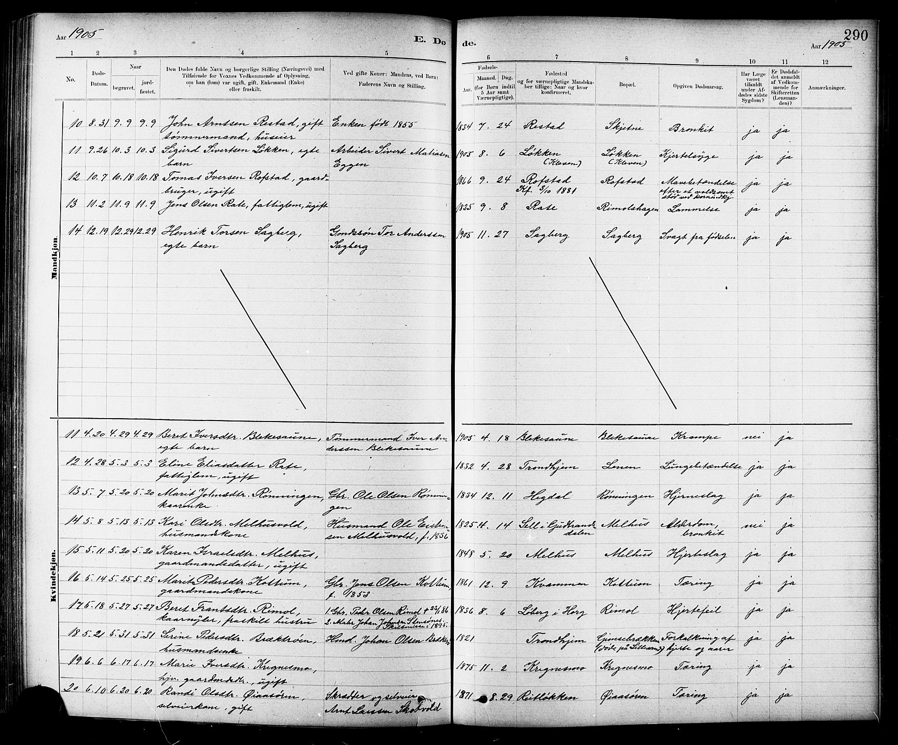 Ministerialprotokoller, klokkerbøker og fødselsregistre - Sør-Trøndelag, AV/SAT-A-1456/691/L1094: Klokkerbok nr. 691C05, 1879-1911, s. 290