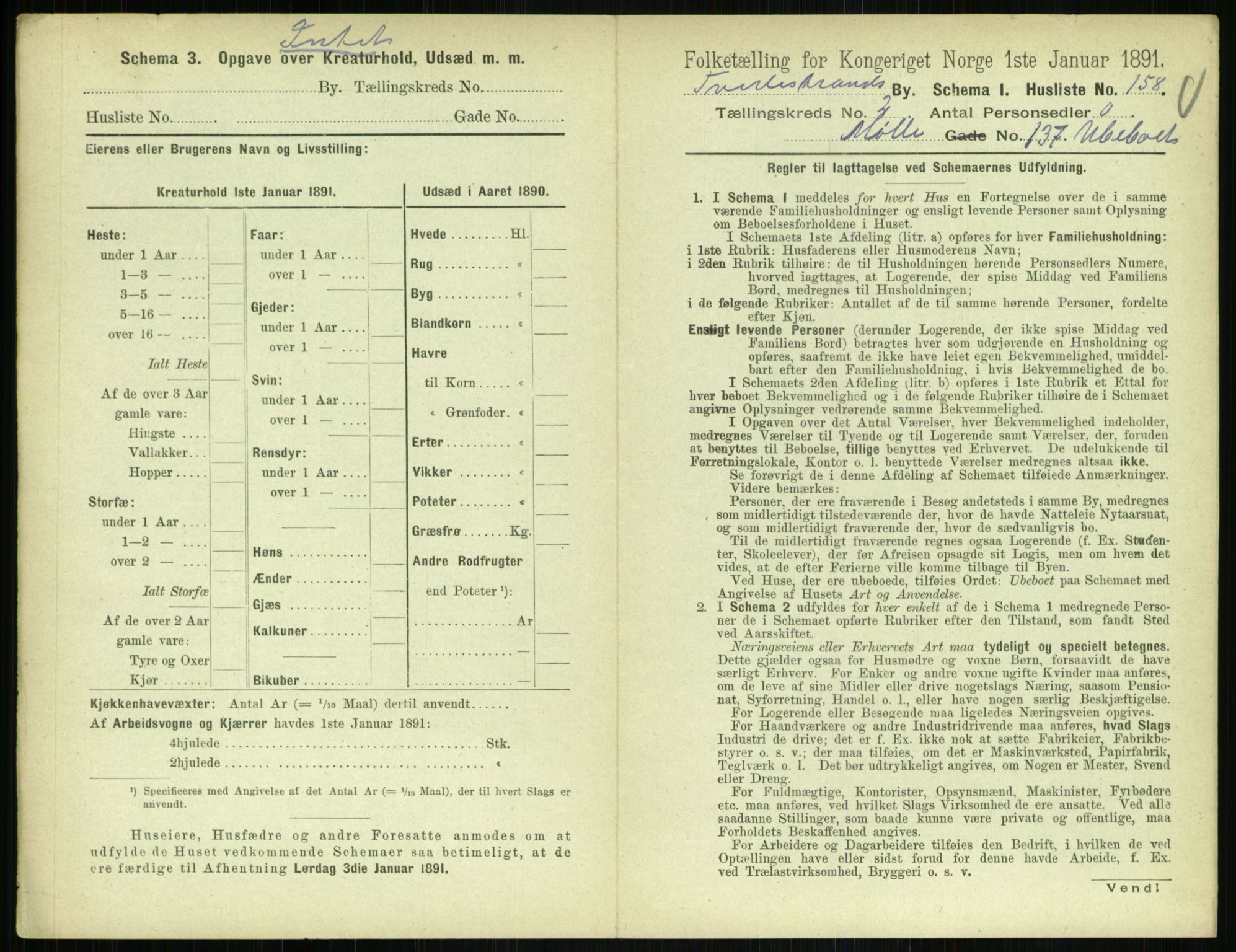 RA, Folketelling 1891 for 0902 Tvedestrand ladested, 1891, s. 594