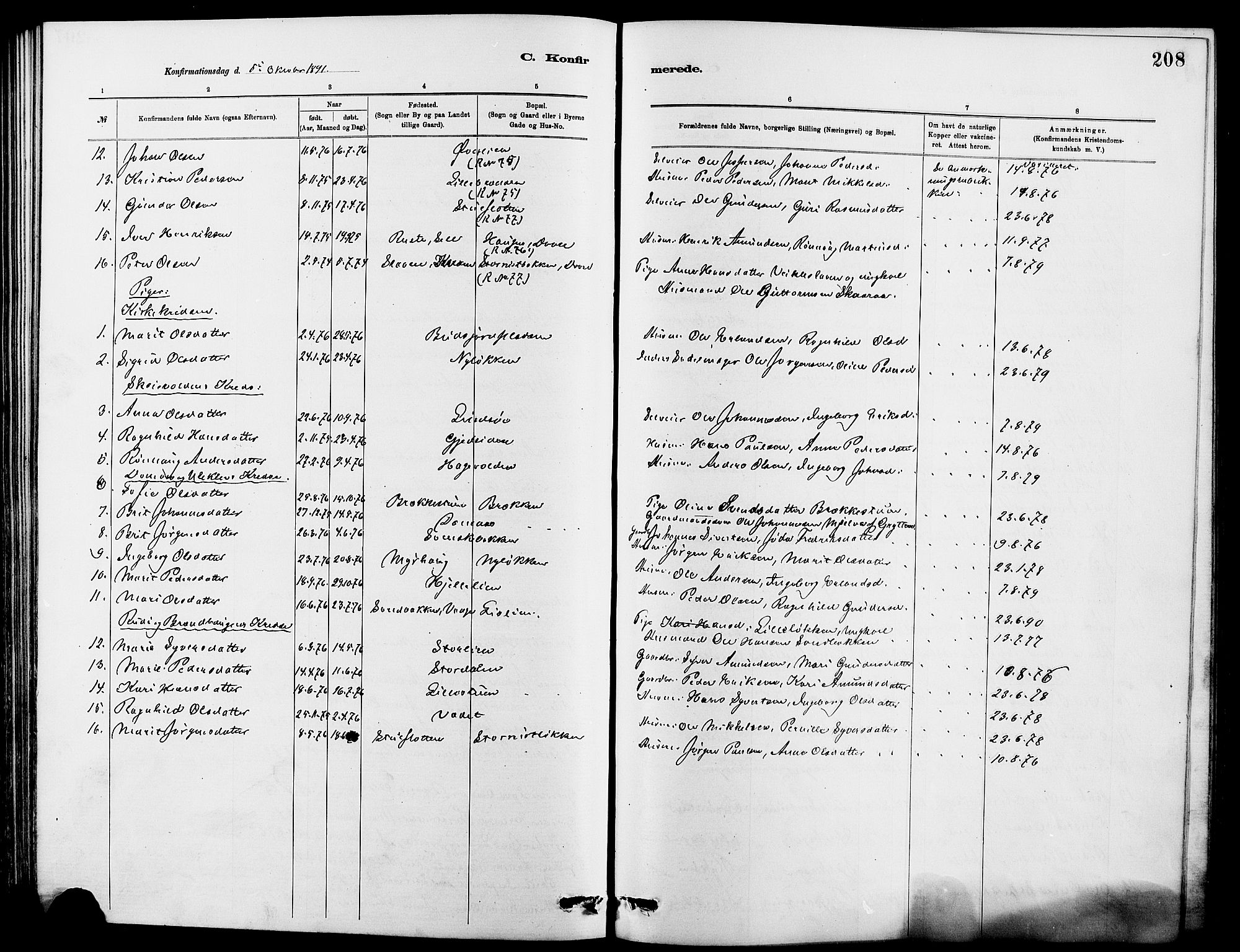 Dovre prestekontor, AV/SAH-PREST-066/H/Ha/Hab/L0002: Klokkerbok nr. 2, 1881-1907, s. 208