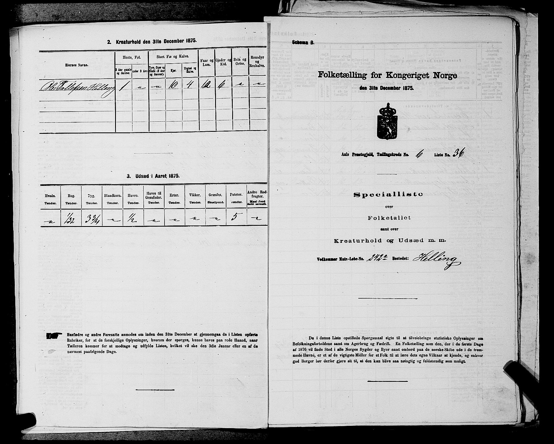 SAKO, Folketelling 1875 for 0619P Ål prestegjeld, 1875, s. 812