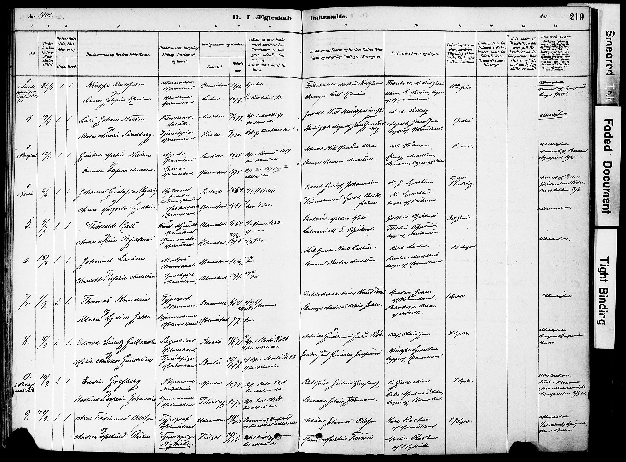 Holmestrand kirkebøker, AV/SAKO-A-346/F/Fa/L0004: Ministerialbok nr. 4, 1880-1901, s. 219