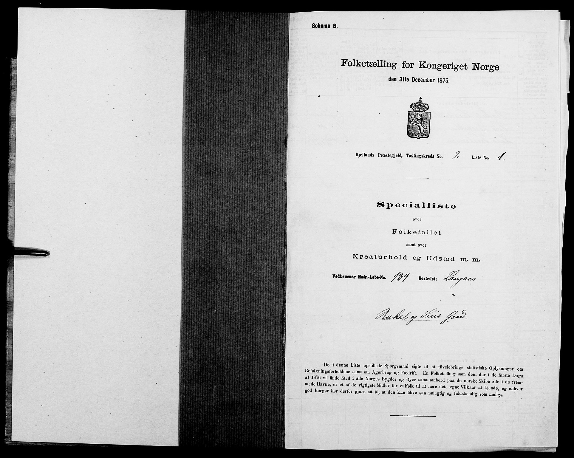 SAK, Folketelling 1875 for 1024P Bjelland prestegjeld, 1875, s. 133