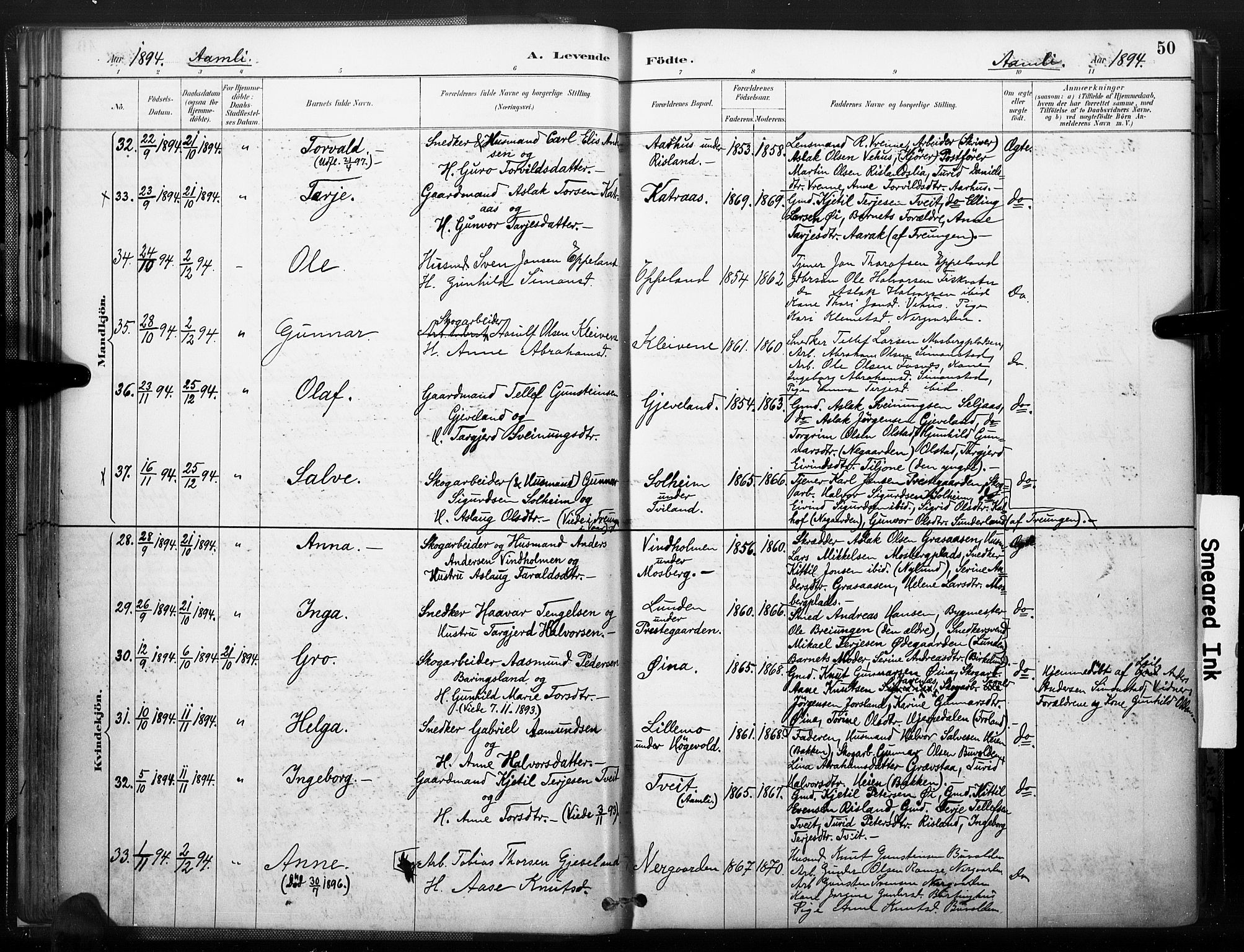 Åmli sokneprestkontor, AV/SAK-1111-0050/F/Fa/Fac/L0010: Ministerialbok nr. A 10 /1, 1885-1899, s. 50