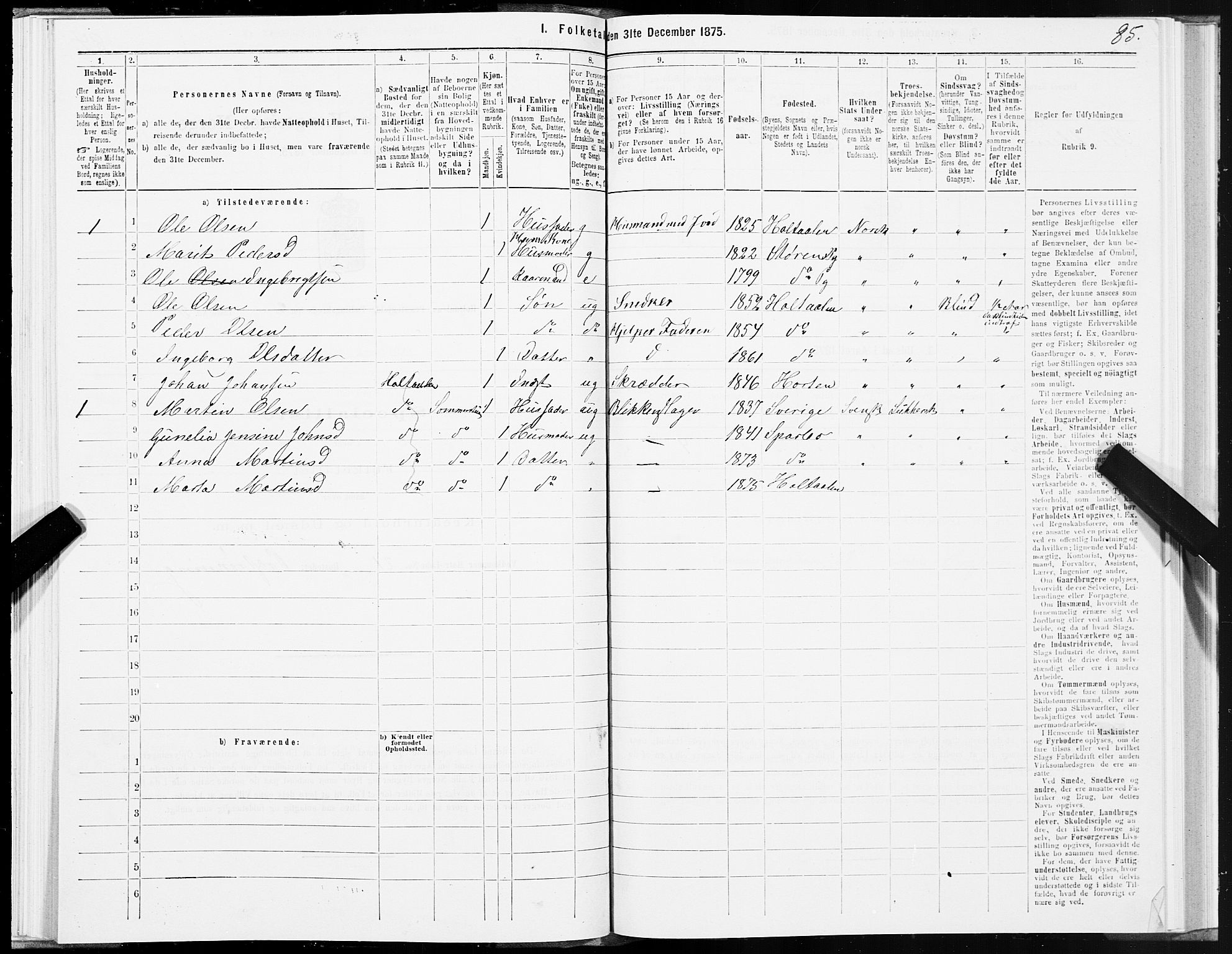 SAT, Folketelling 1875 for 1645P Haltdalen prestegjeld, 1875, s. 1085