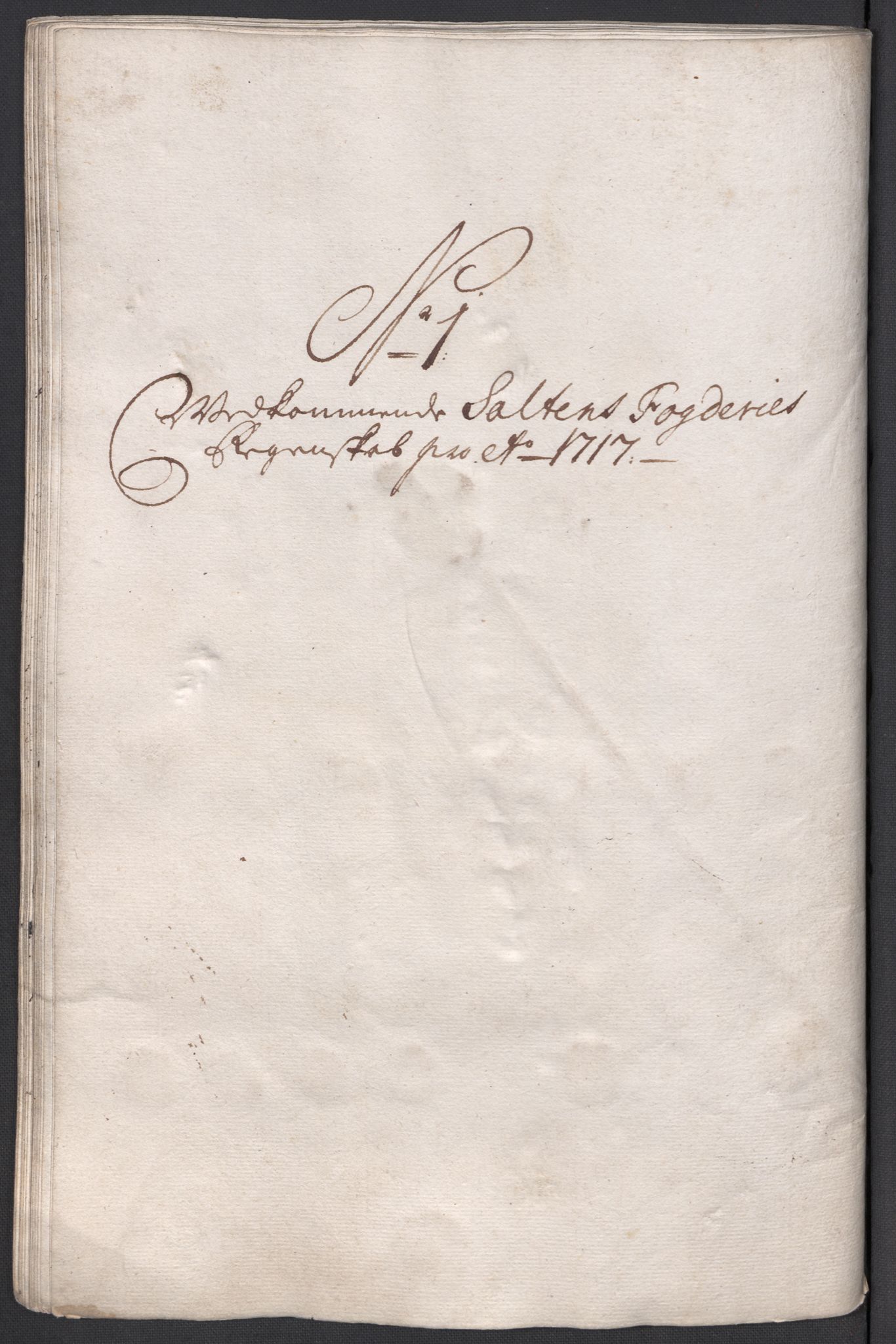 Rentekammeret inntil 1814, Reviderte regnskaper, Fogderegnskap, RA/EA-4092/R66/L4587: Fogderegnskap Salten, 1717, s. 66