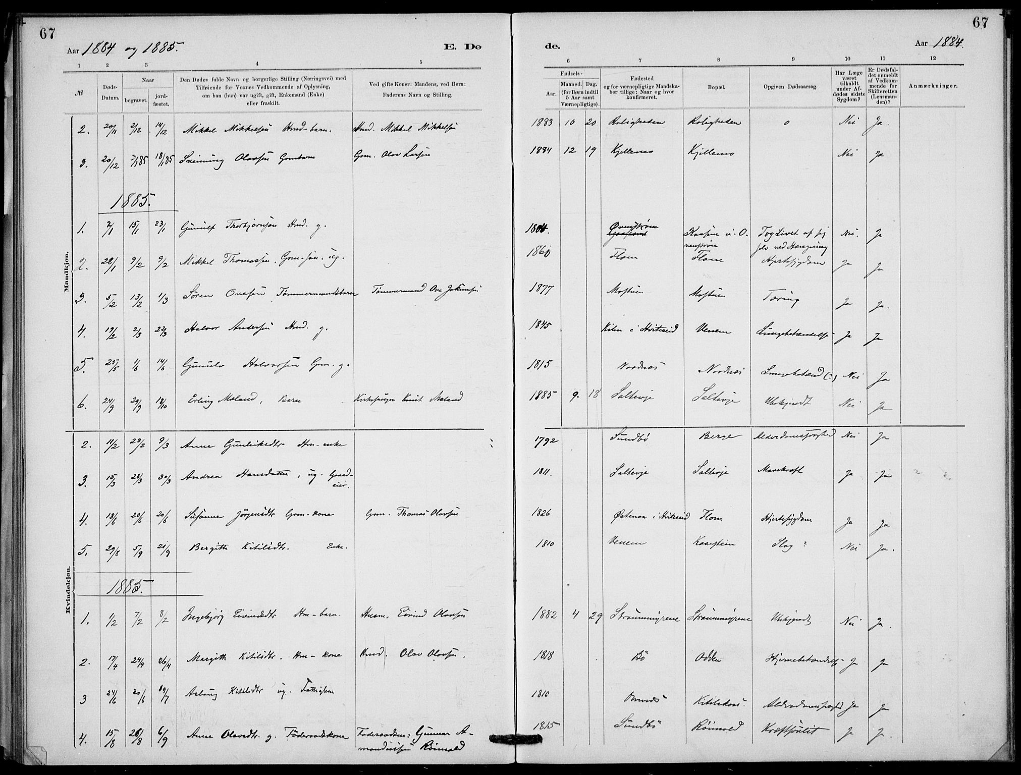 Lunde kirkebøker, AV/SAKO-A-282/F/Fb/L0003: Ministerialbok nr. II 3, 1882-1891, s. 67