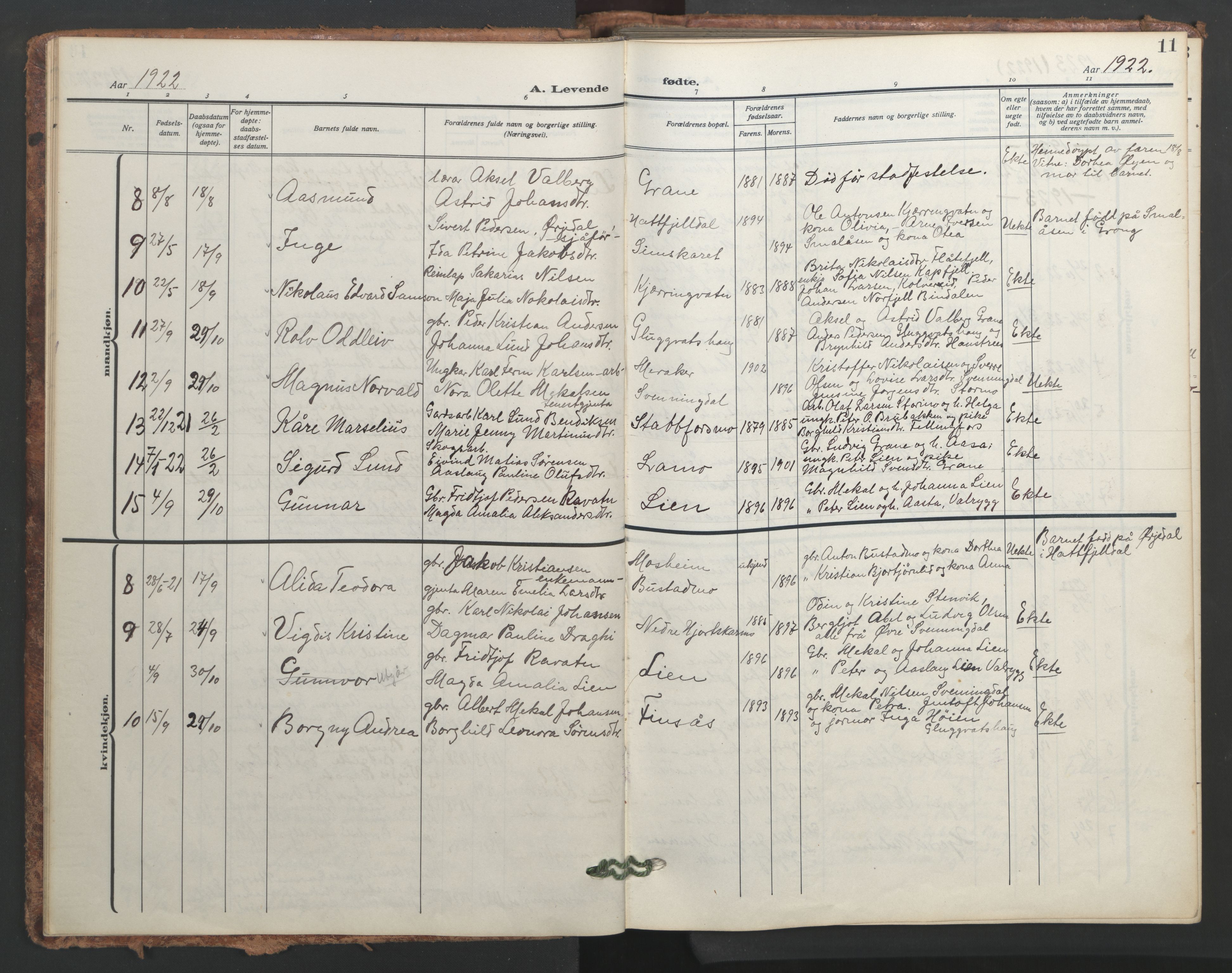 Ministerialprotokoller, klokkerbøker og fødselsregistre - Nordland, AV/SAT-A-1459/824/L0341: Klokkerbok nr. 824C01, 1916-1957, s. 11