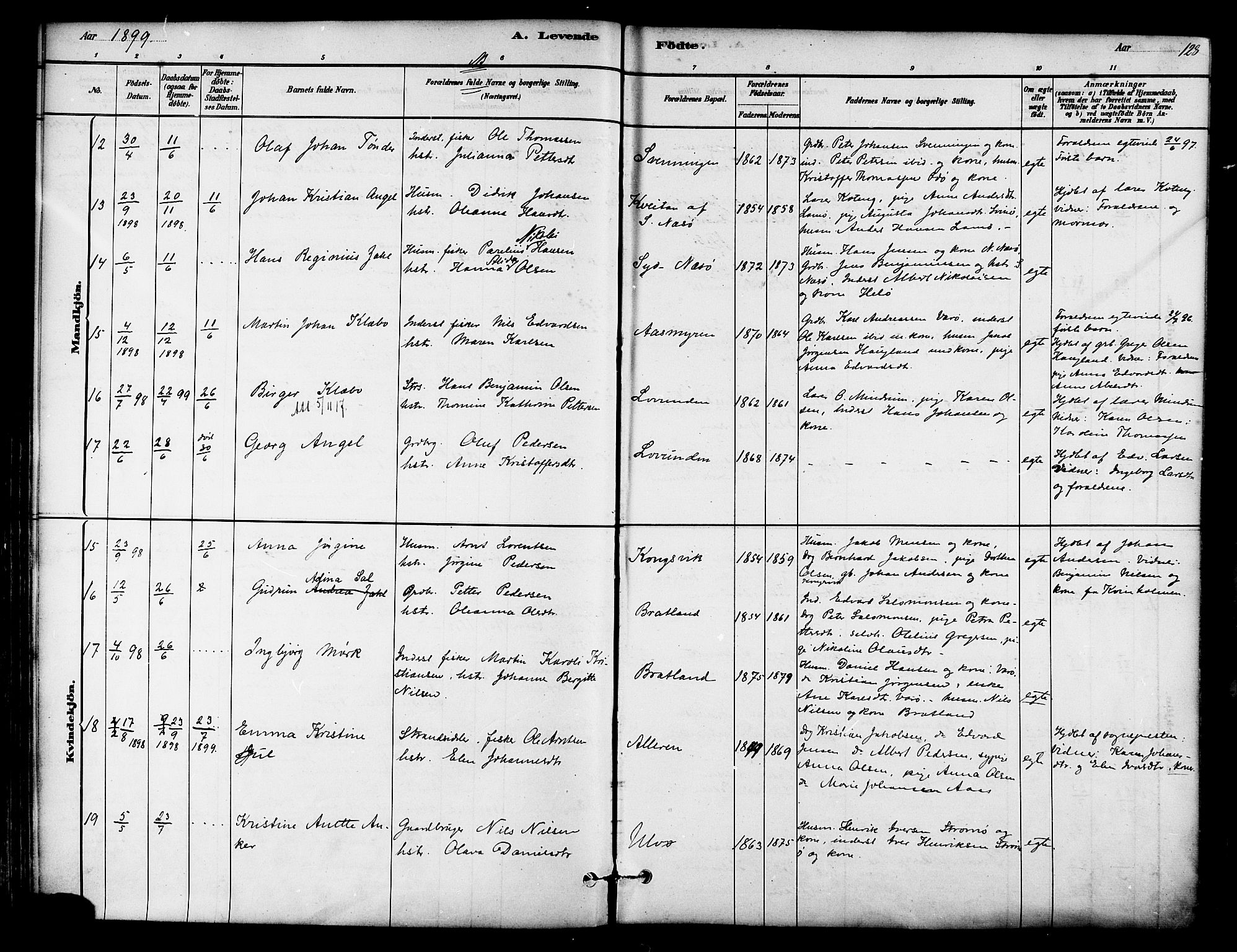 Ministerialprotokoller, klokkerbøker og fødselsregistre - Nordland, AV/SAT-A-1459/839/L0568: Ministerialbok nr. 839A05, 1880-1902, s. 128