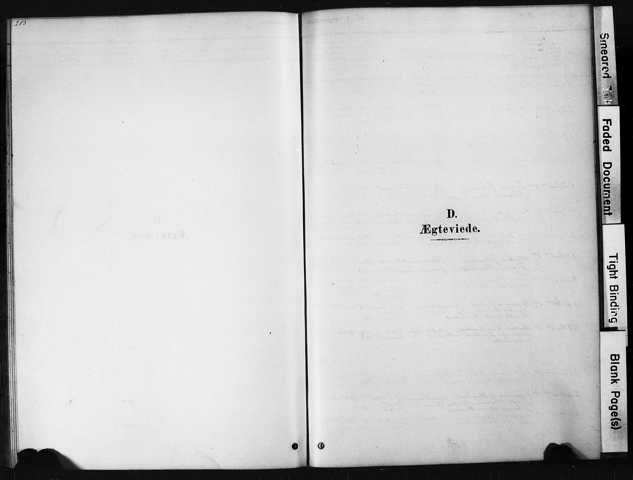 Hof kirkebøker, SAKO/A-64/G/Ga/L0004: Klokkerbok nr. I 4, 1878-1930, s. 213