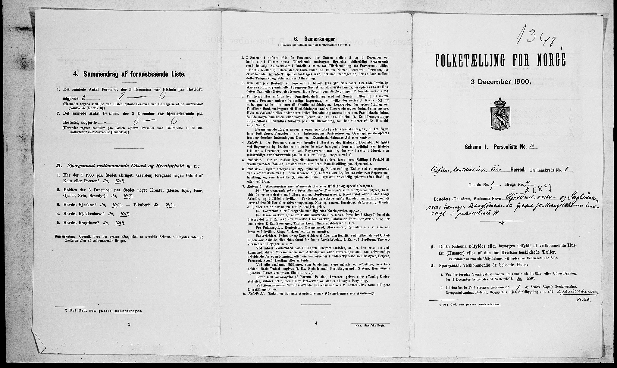RA, Folketelling 1900 for 0626 Lier herred, 1900, s. 65