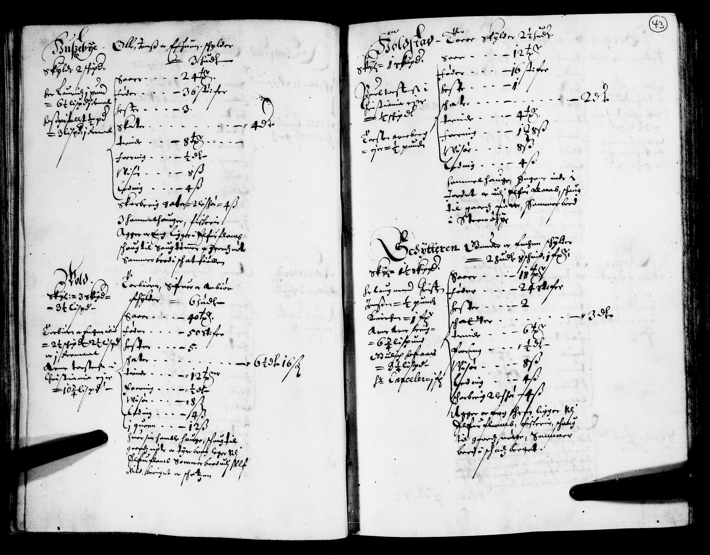 Rentekammeret inntil 1814, Realistisk ordnet avdeling, AV/RA-EA-4070/N/Nb/Nba/L0011: Odal, Solør og Østerdalen fogderi, 1667, s. 42b-43a