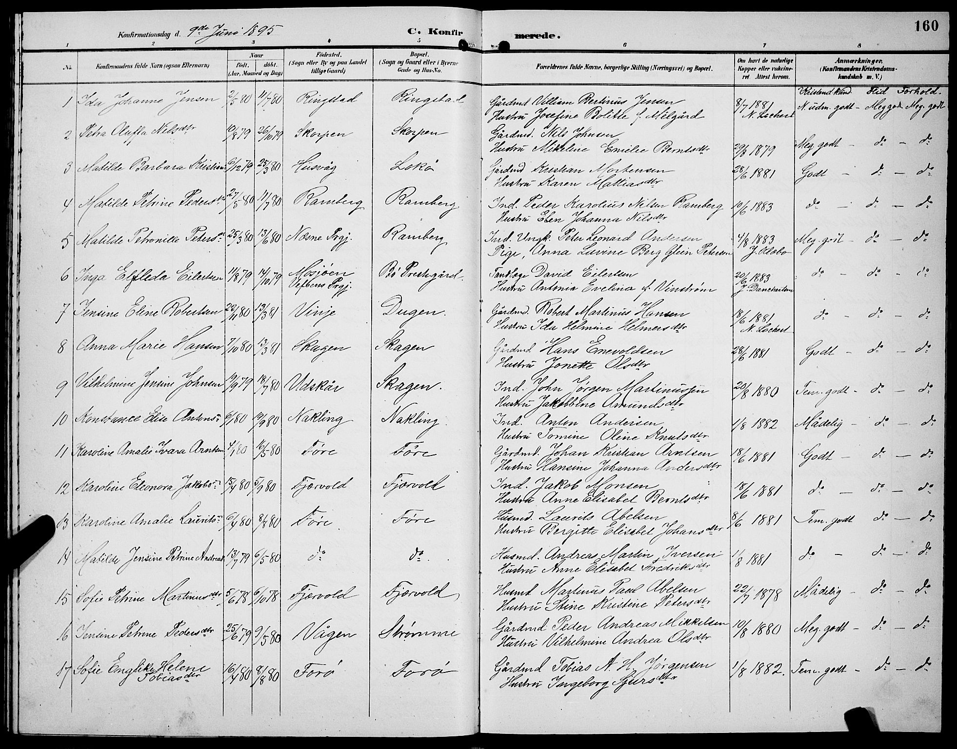 Ministerialprotokoller, klokkerbøker og fødselsregistre - Nordland, SAT/A-1459/891/L1316: Klokkerbok nr. 891C05, 1894-1898, s. 160