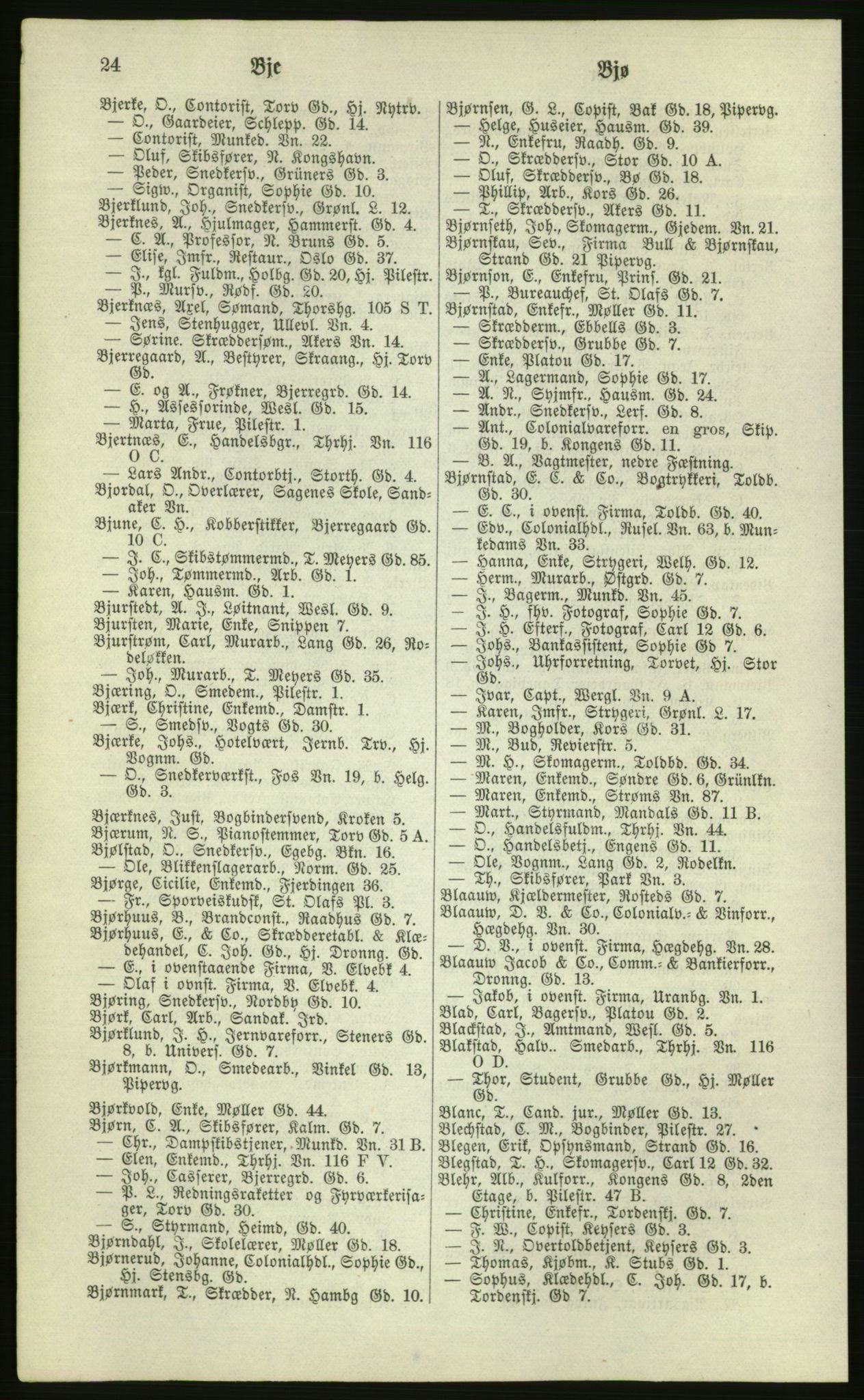 Kristiania/Oslo adressebok, PUBL/-, 1881, s. 24