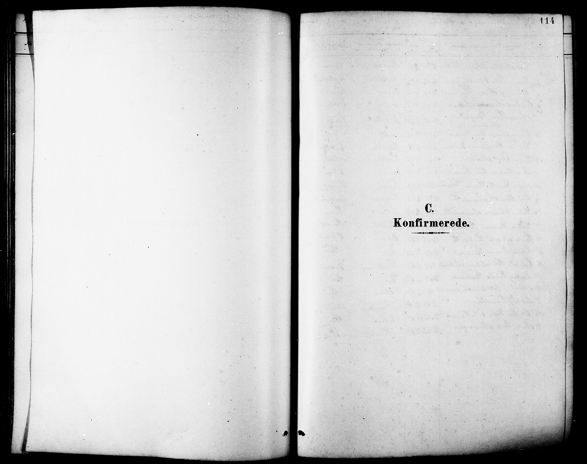 Ministerialprotokoller, klokkerbøker og fødselsregistre - Møre og Romsdal, AV/SAT-A-1454/502/L0027: Klokkerbok nr. 502C01, 1878-1908, s. 114