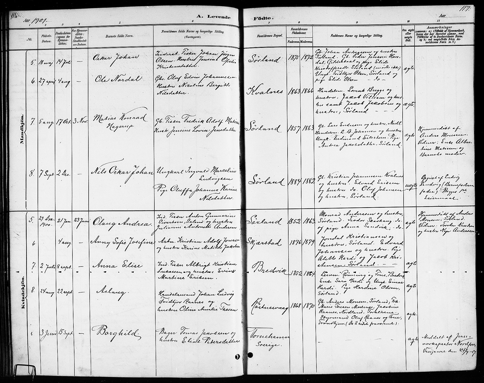 Ministerialprotokoller, klokkerbøker og fødselsregistre - Nordland, SAT/A-1459/807/L0123: Klokkerbok nr. 807C01, 1884-1910, s. 116-117