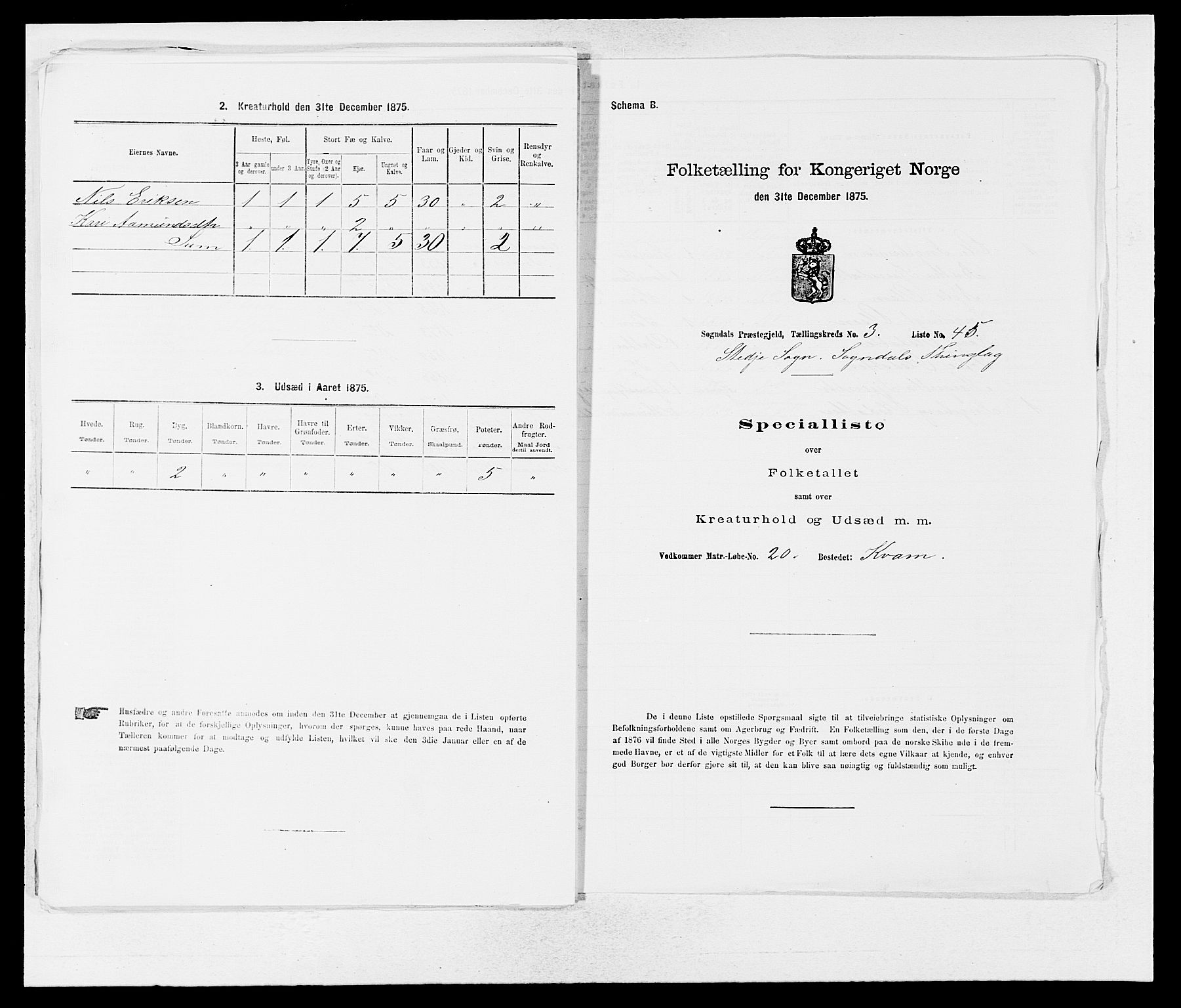 SAB, Folketelling 1875 for 1420P Sogndal prestegjeld, 1875, s. 294