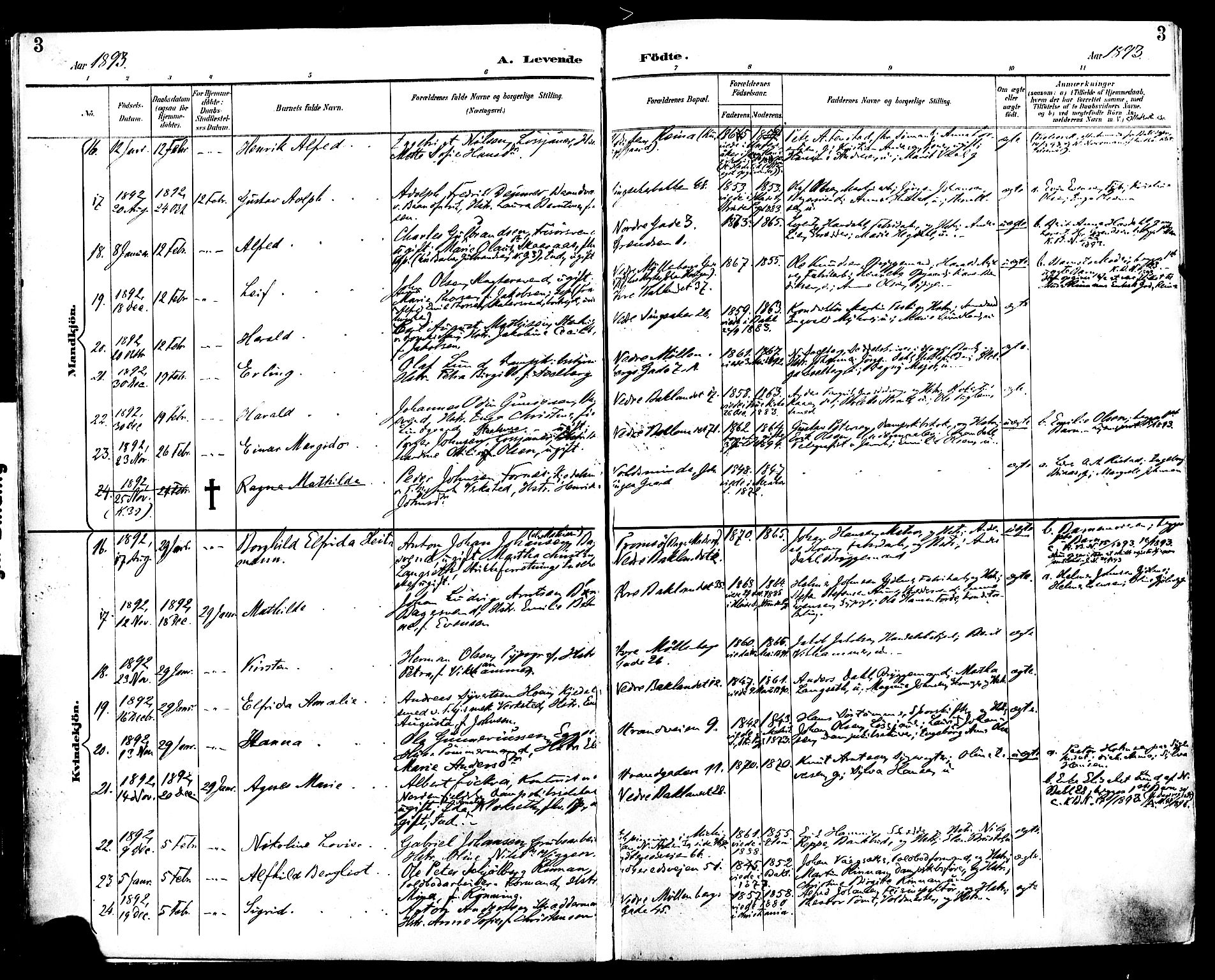 Ministerialprotokoller, klokkerbøker og fødselsregistre - Sør-Trøndelag, SAT/A-1456/604/L0197: Ministerialbok nr. 604A18, 1893-1900, s. 3