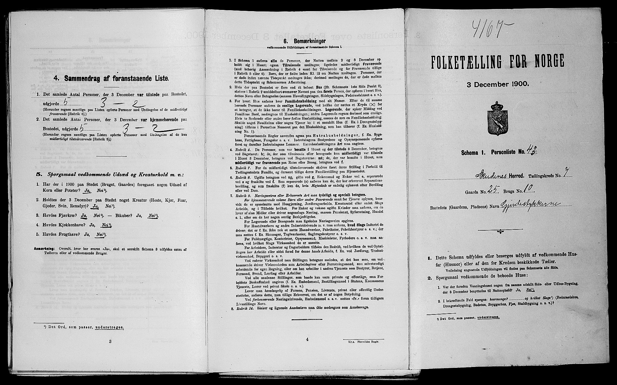 SAST, Folketelling 1900 for 1150 Skudenes herred, 1900, s. 1029