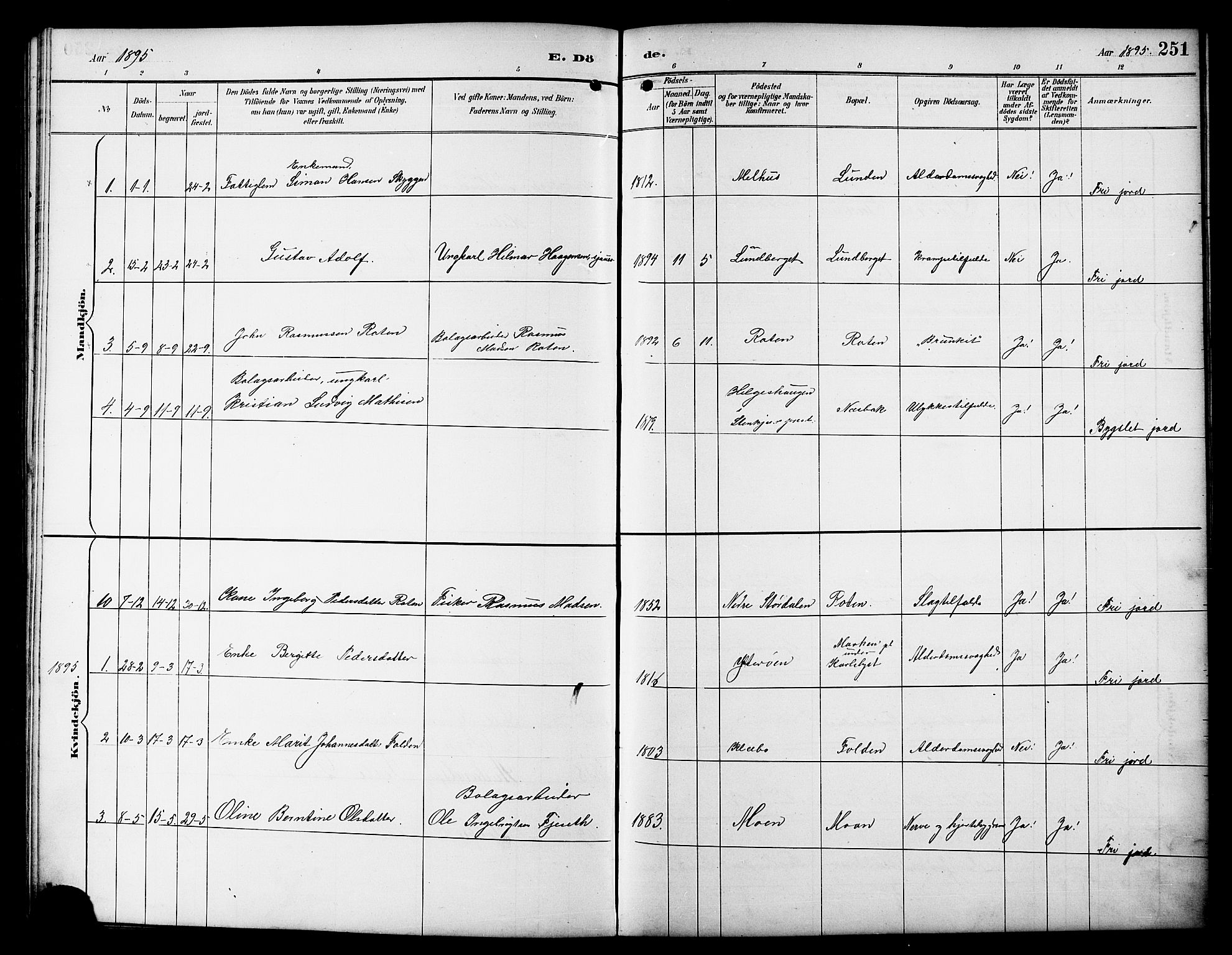 Ministerialprotokoller, klokkerbøker og fødselsregistre - Sør-Trøndelag, SAT/A-1456/617/L0431: Klokkerbok nr. 617C01, 1889-1910, s. 251
