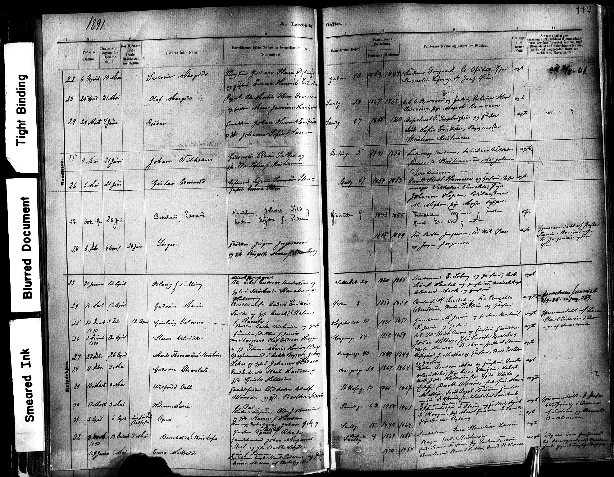 Ministerialprotokoller, klokkerbøker og fødselsregistre - Sør-Trøndelag, SAT/A-1456/602/L0119: Ministerialbok nr. 602A17, 1880-1901, s. 112
