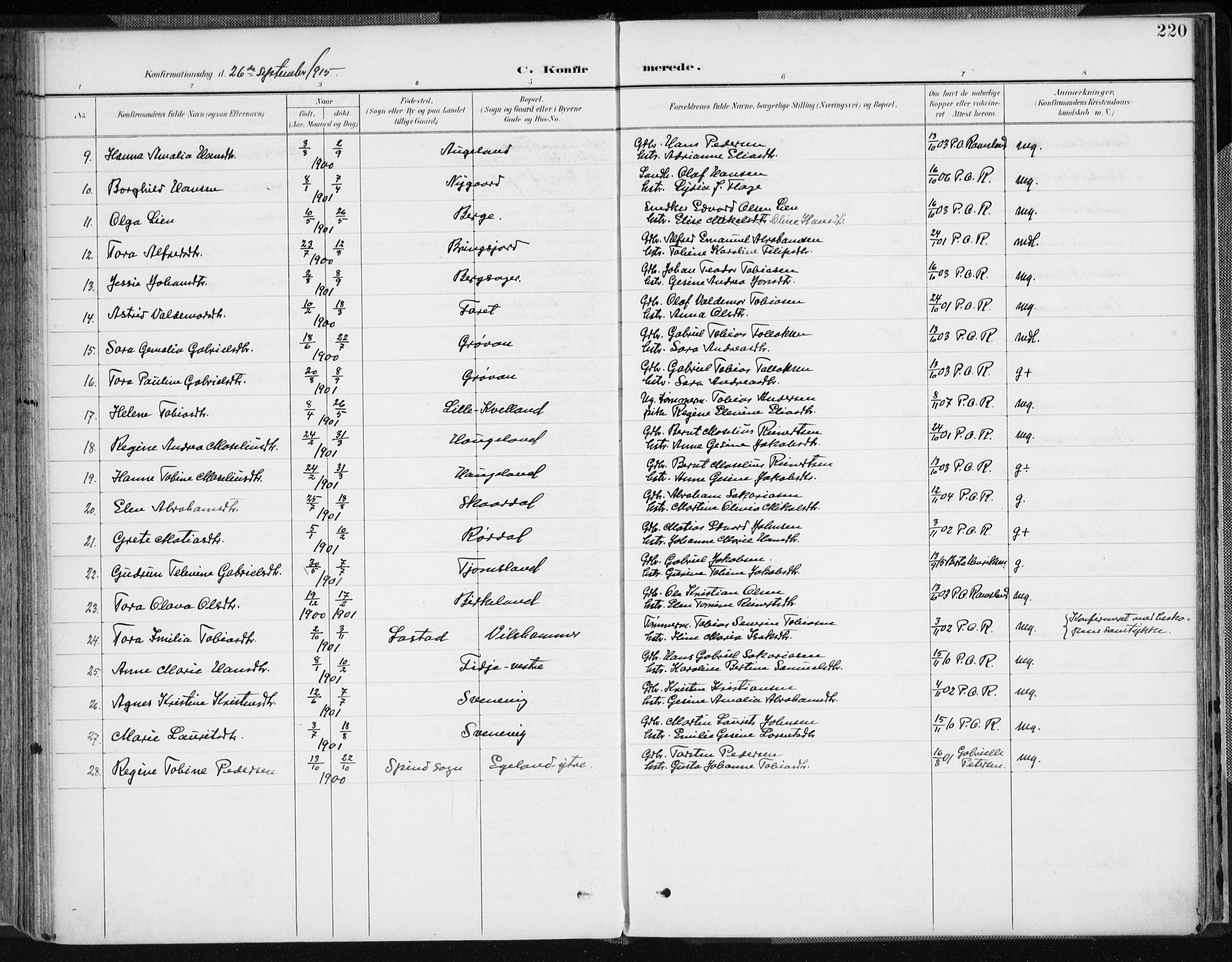 Lyngdal sokneprestkontor, AV/SAK-1111-0029/F/Fa/Fac/L0012: Ministerialbok nr. A 12, 1894-1918, s. 220