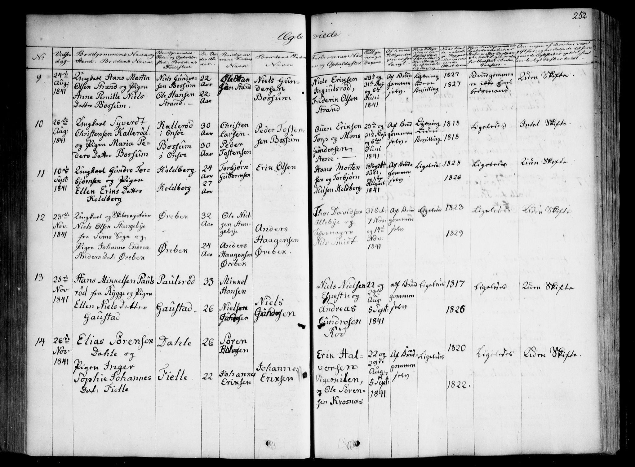 Onsøy prestekontor Kirkebøker, AV/SAO-A-10914/F/Fa/L0003: Ministerialbok nr. I 3, 1841-1860, s. 252
