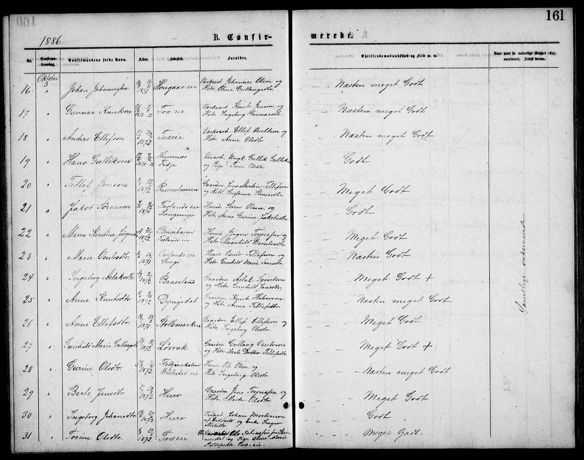 Froland sokneprestkontor, AV/SAK-1111-0013/F/Fb/L0009: Klokkerbok nr. B 9, 1875-1893, s. 161