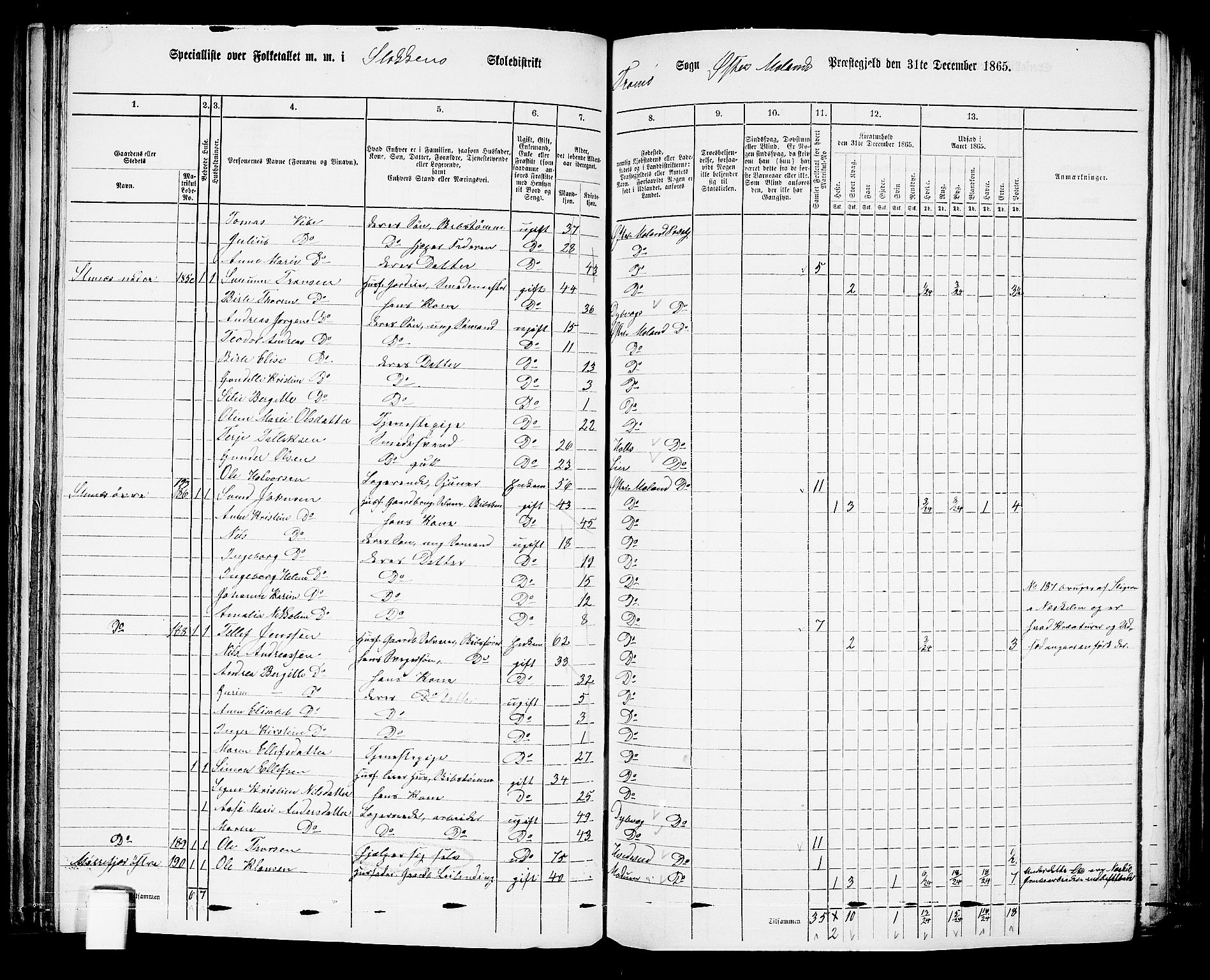 RA, Folketelling 1865 for 0918P Austre Moland prestegjeld, 1865, s. 122