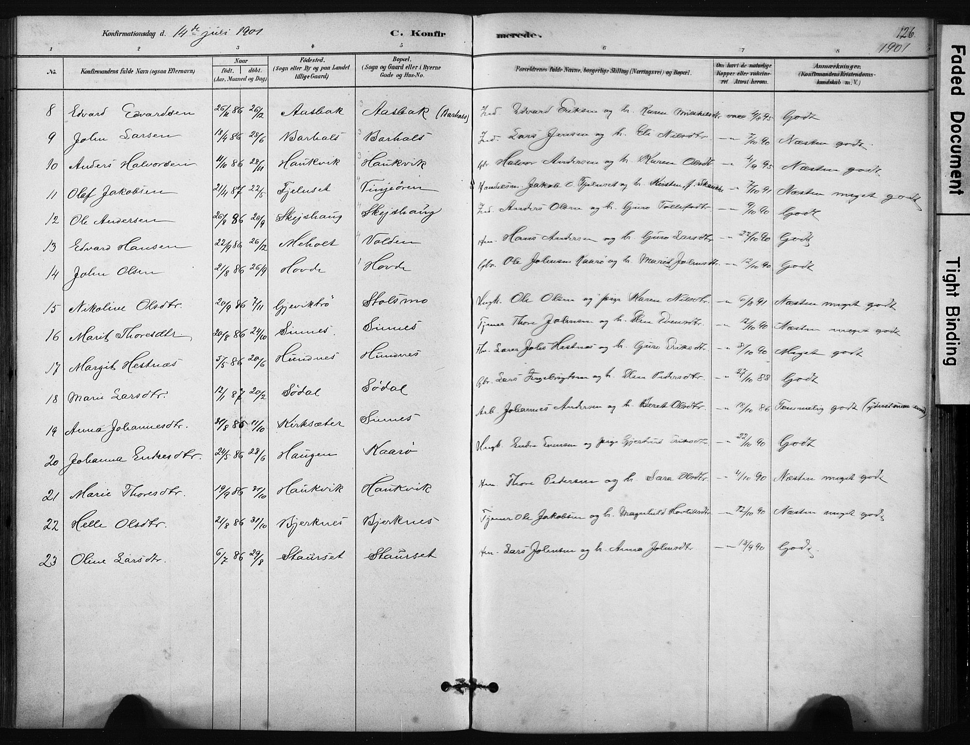 Ministerialprotokoller, klokkerbøker og fødselsregistre - Sør-Trøndelag, AV/SAT-A-1456/631/L0512: Ministerialbok nr. 631A01, 1879-1912, s. 126