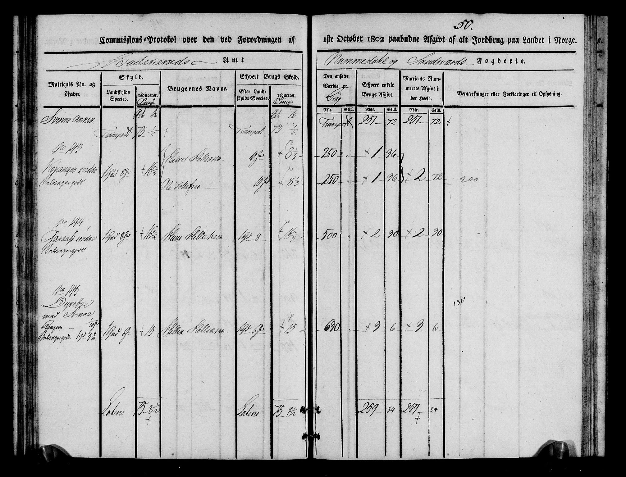 Rentekammeret inntil 1814, Realistisk ordnet avdeling, AV/RA-EA-4070/N/Ne/Nea/L0055: Numedal og Sandsvær fogderi. Kommisjonsprotokoll for Flesberg prestegjeld, 1803, s. 51