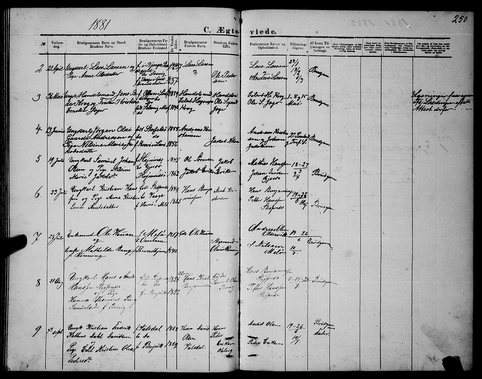 Ministerialprotokoller, klokkerbøker og fødselsregistre - Nordland, AV/SAT-A-1459/841/L0620: Klokkerbok nr. 841C04, 1877-1896, s. 250