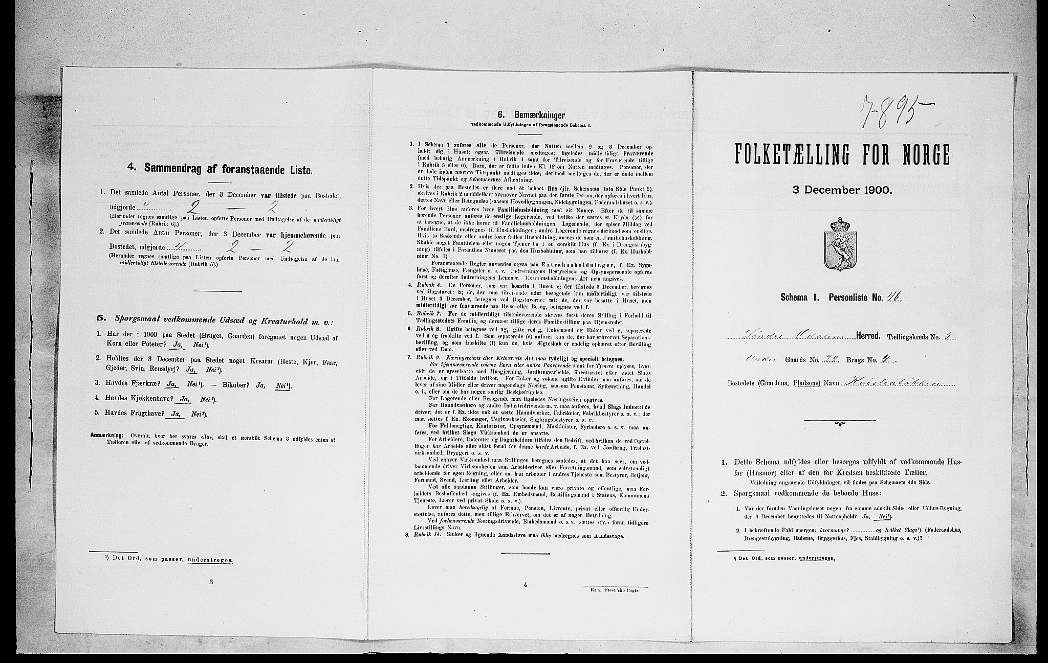 SAH, Folketelling 1900 for 0419 Sør-Odal herred, 1900, s. 802