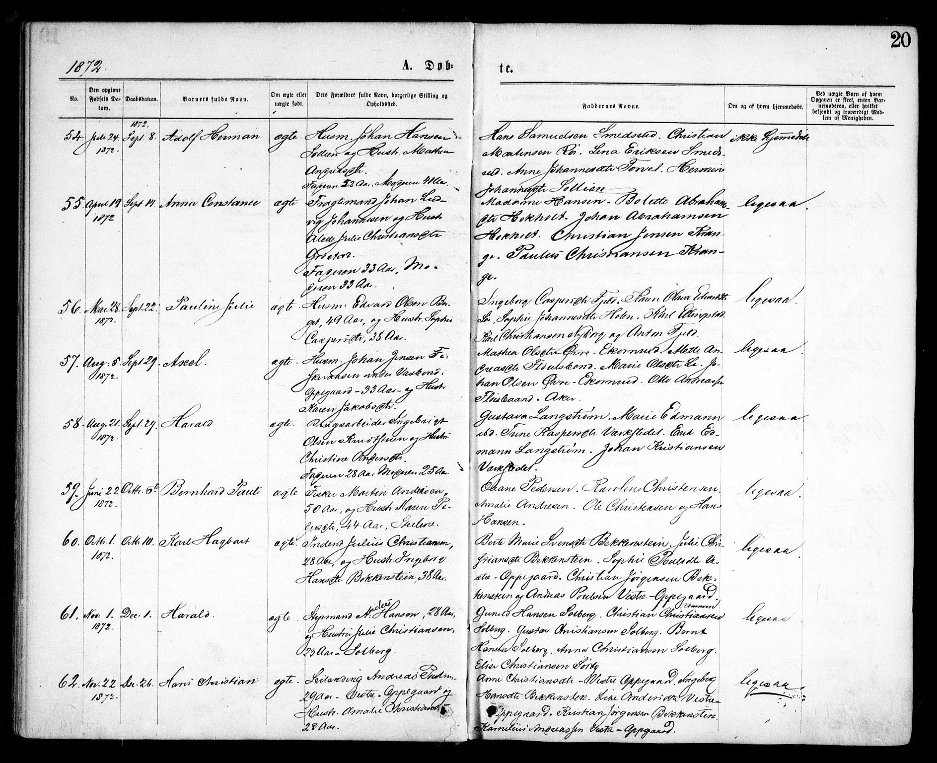 Nesodden prestekontor Kirkebøker, AV/SAO-A-10013/F/Fa/L0008: Ministerialbok nr. I 8, 1869-1879, s. 20