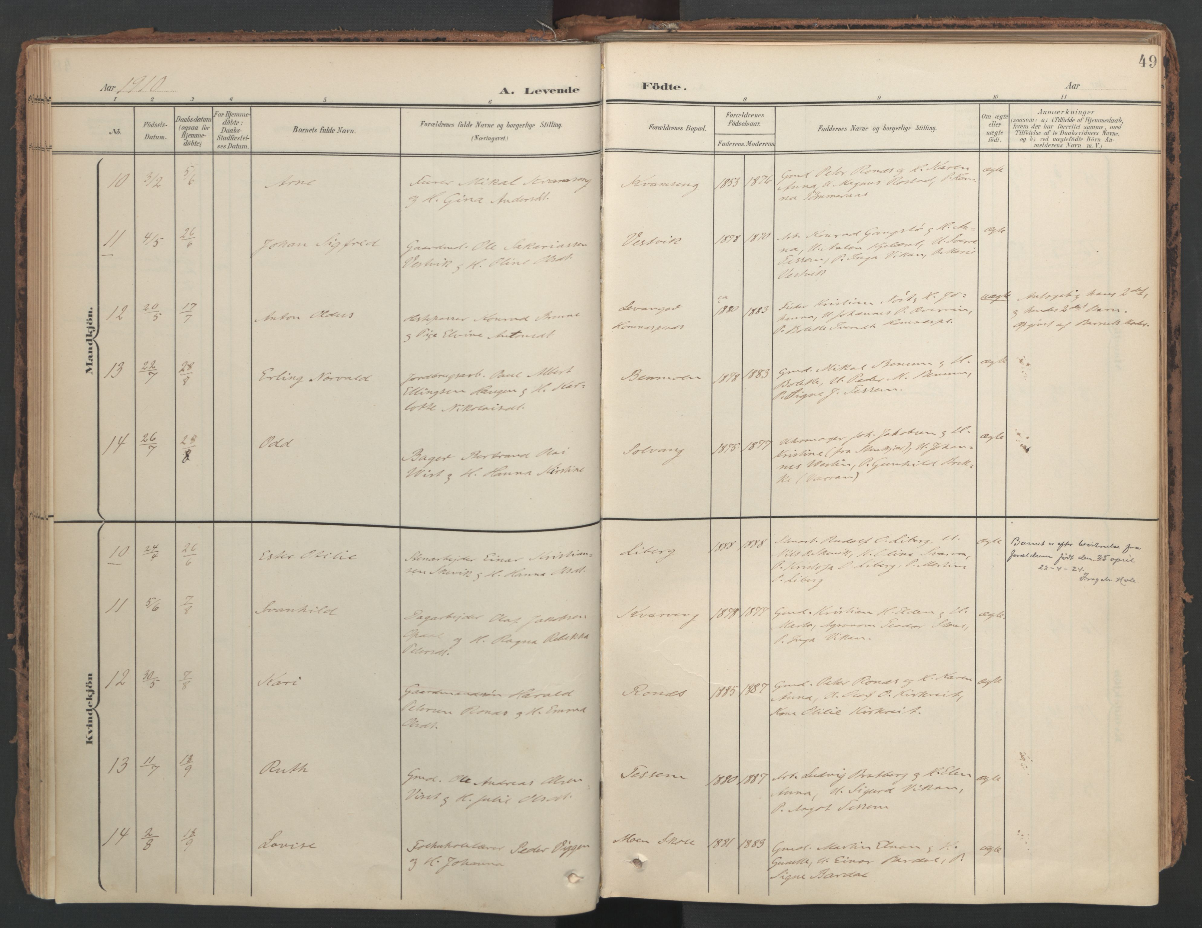 Ministerialprotokoller, klokkerbøker og fødselsregistre - Nord-Trøndelag, AV/SAT-A-1458/741/L0397: Ministerialbok nr. 741A11, 1901-1911, s. 49