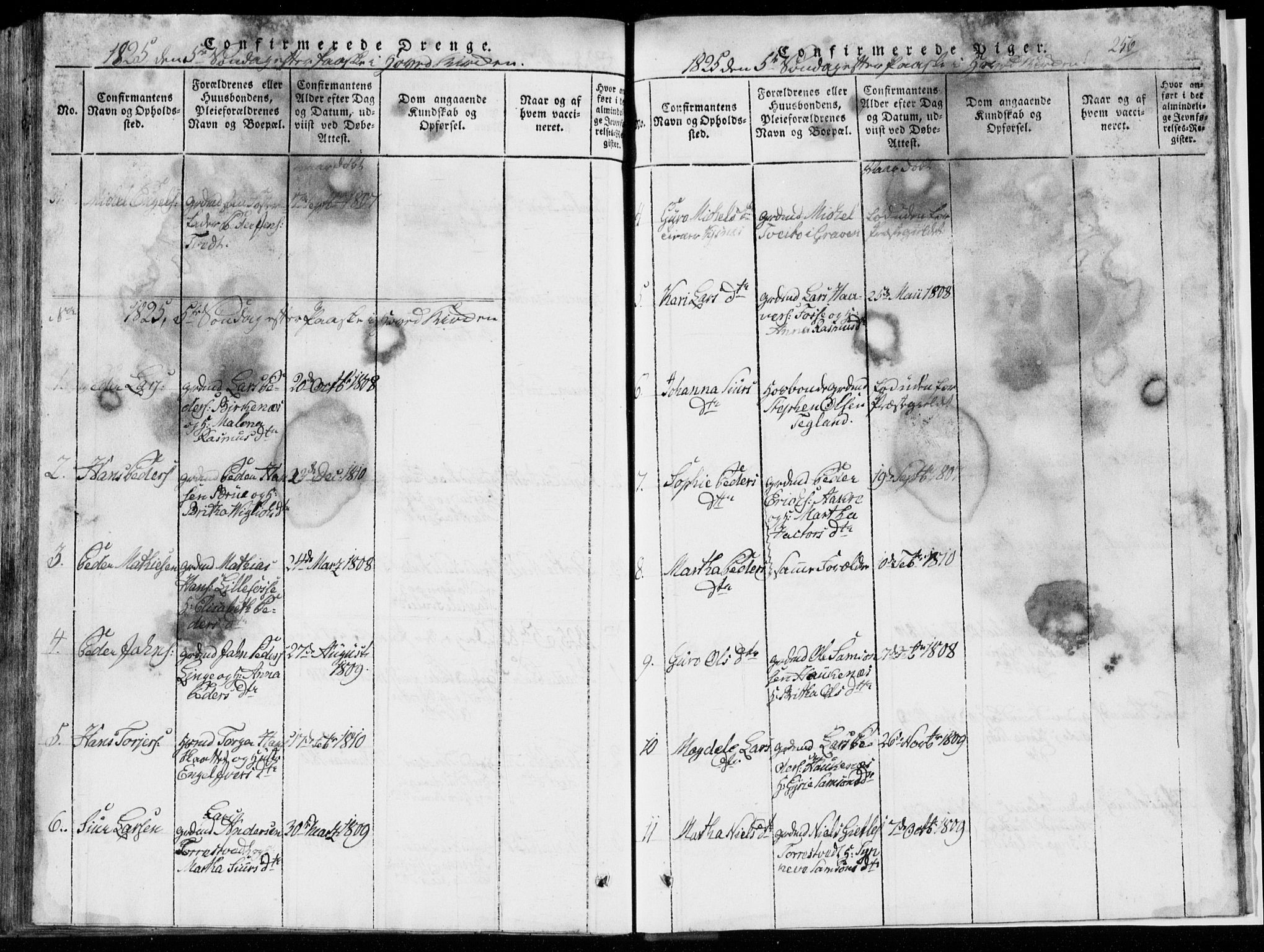 Strandebarm sokneprestembete, AV/SAB-A-78401/H/Hab: Klokkerbok nr. A  1, 1816-1826, s. 256