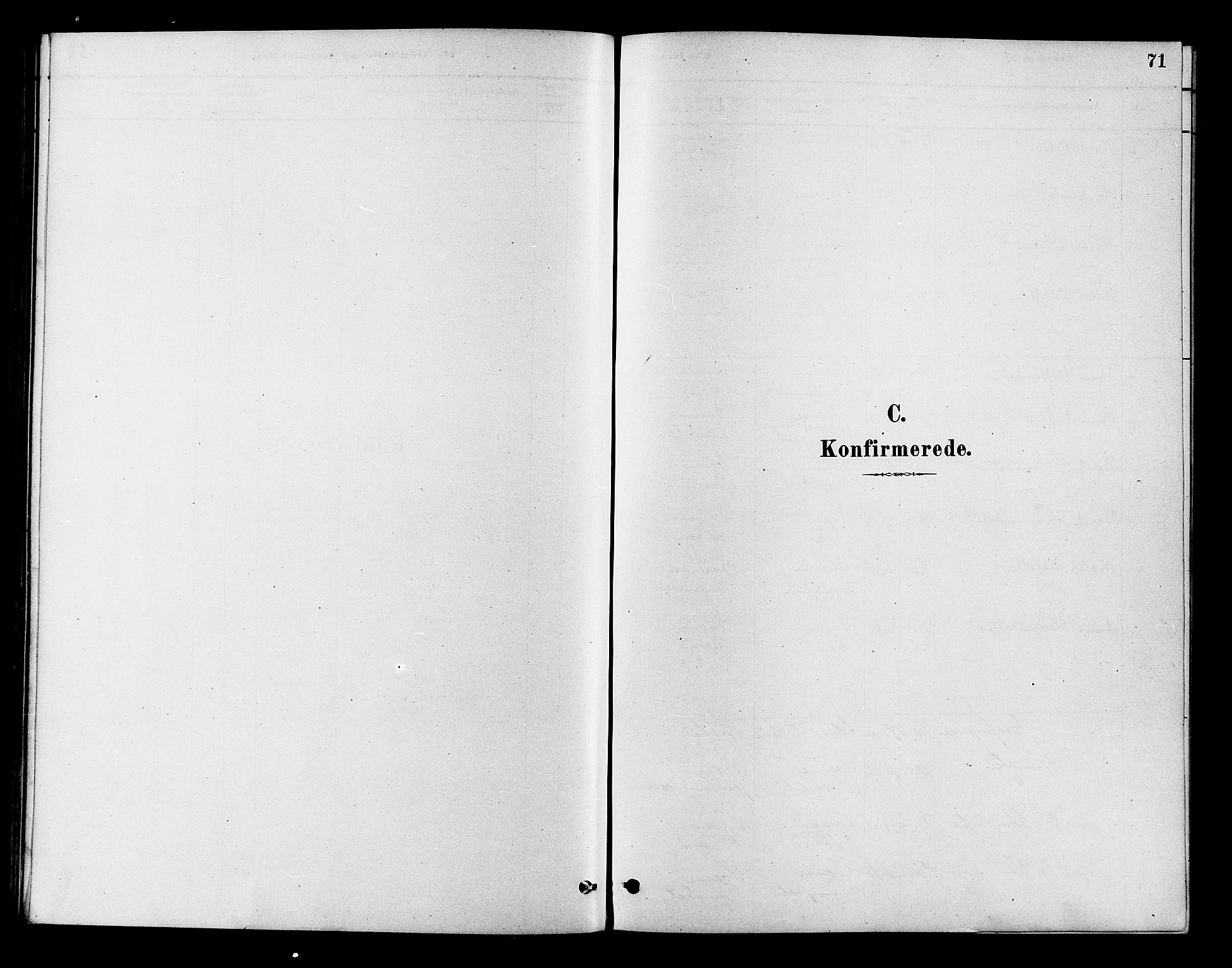 Flesberg kirkebøker, SAKO/A-18/F/Fb/L0001: Ministerialbok nr. II 1, 1879-1907, s. 71