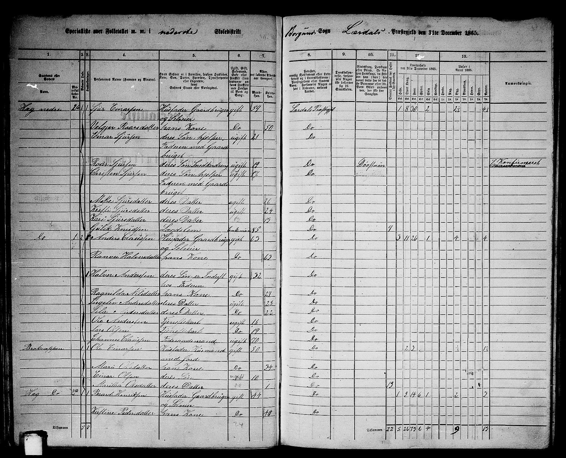 RA, Folketelling 1865 for 1422P Lærdal prestegjeld, 1865, s. 33