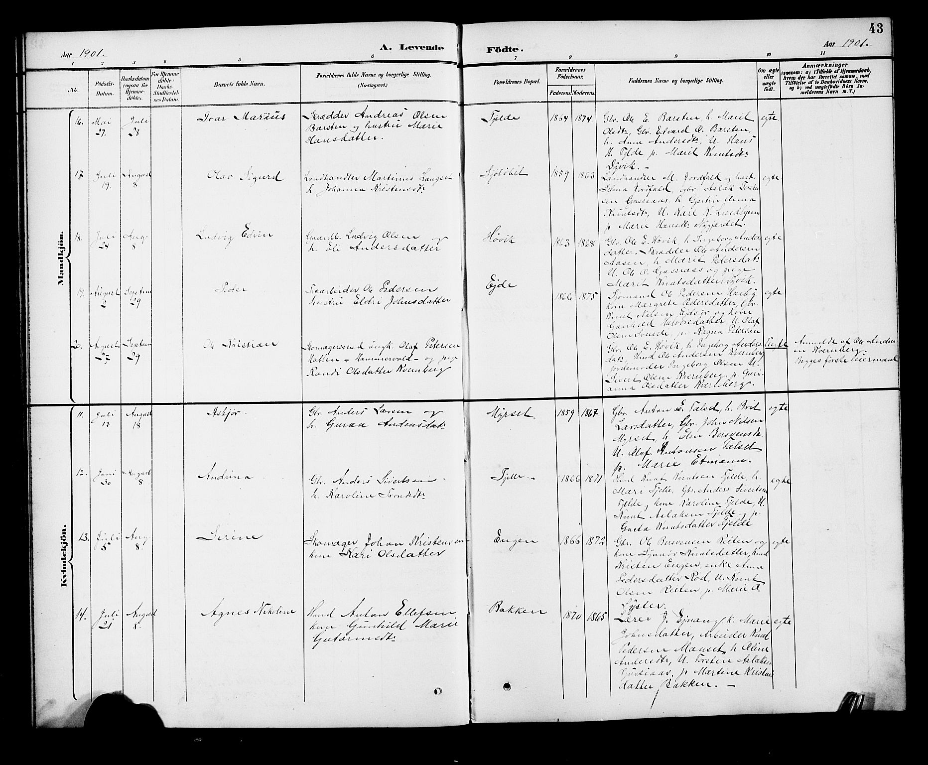 Ministerialprotokoller, klokkerbøker og fødselsregistre - Møre og Romsdal, SAT/A-1454/551/L0632: Klokkerbok nr. 551C04, 1894-1920, s. 43