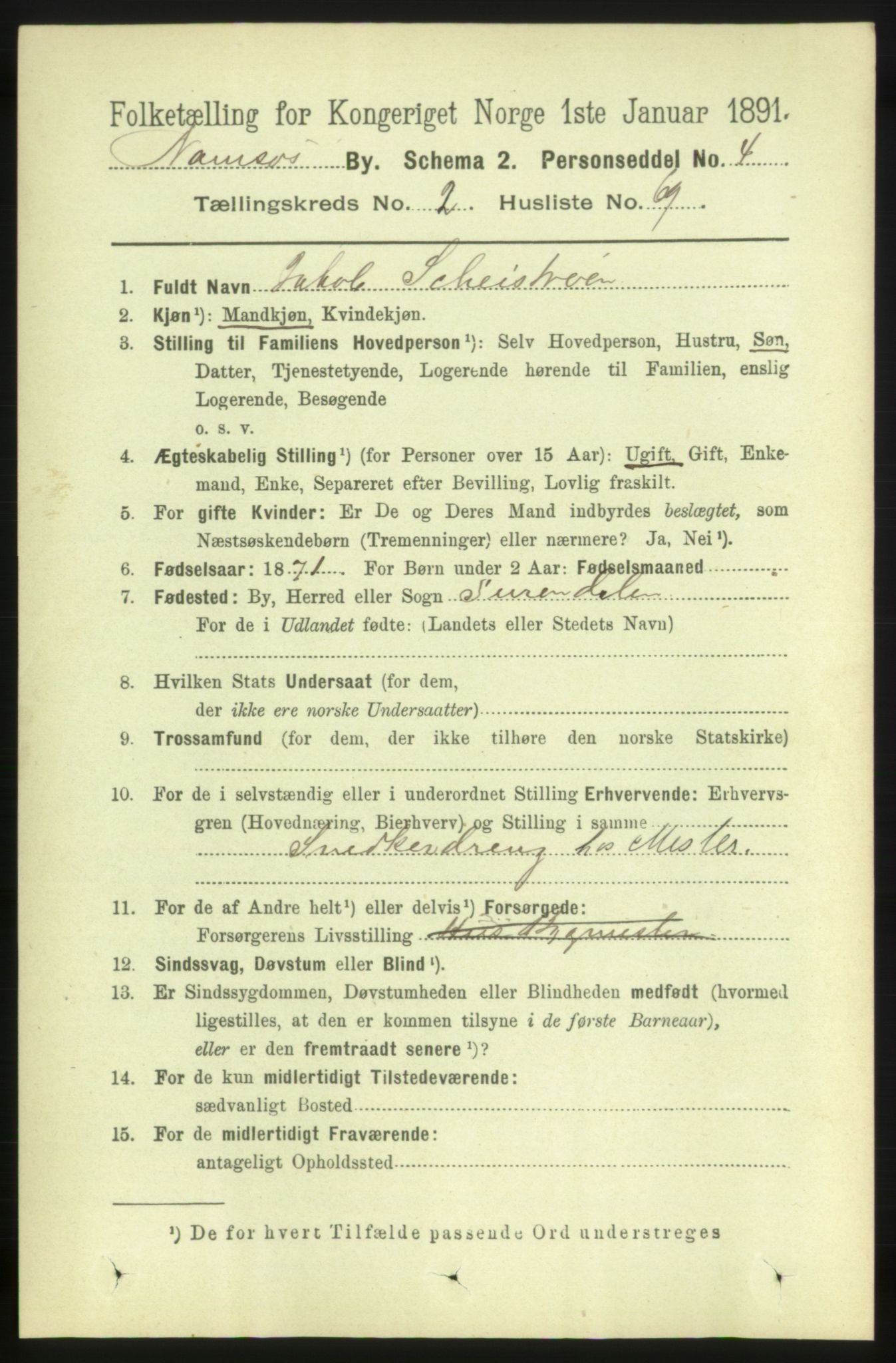 RA, Folketelling 1891 for 1703 Namsos ladested, 1891, s. 1243