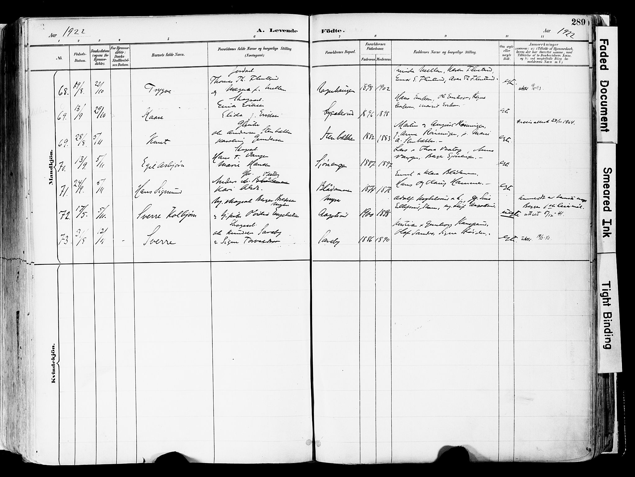 Sør-Odal prestekontor, AV/SAH-PREST-030/H/Ha/Haa/L0006: Ministerialbok nr. 6, 1886-1931, s. 289