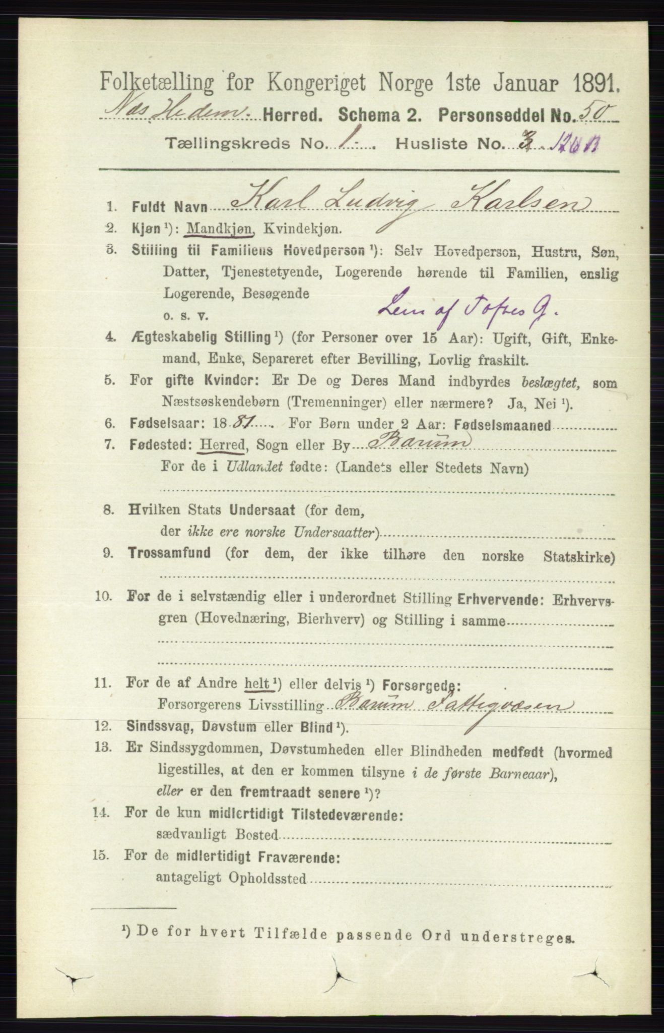 RA, Folketelling 1891 for 0411 Nes herred, 1891, s. 957